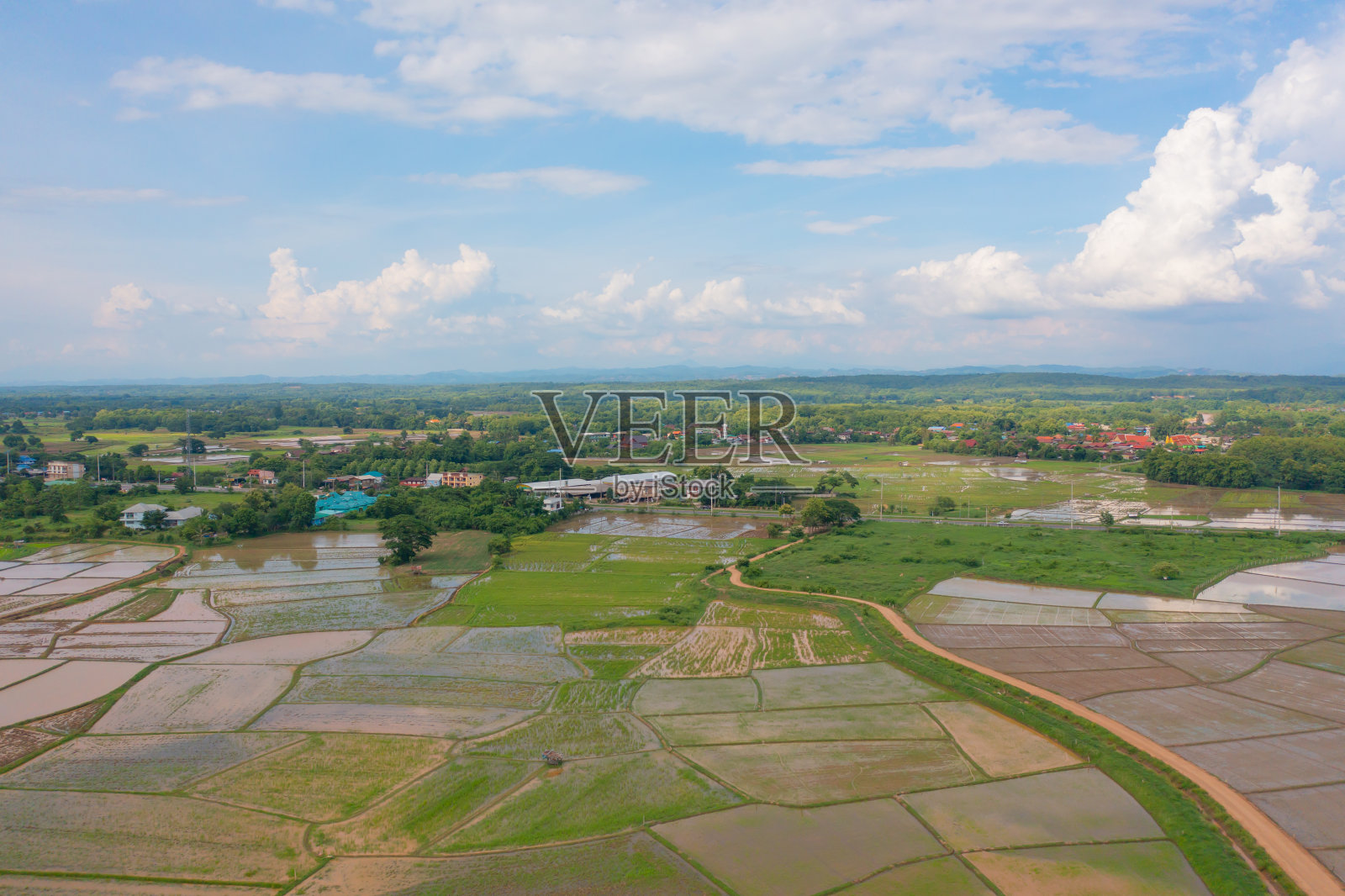 鸟瞰图水稻梯田与水反射，绿色农田在农村，山丘陵山谷，帕邦平，泰国清迈。自然景观。农作物的收成。照片摄影图片