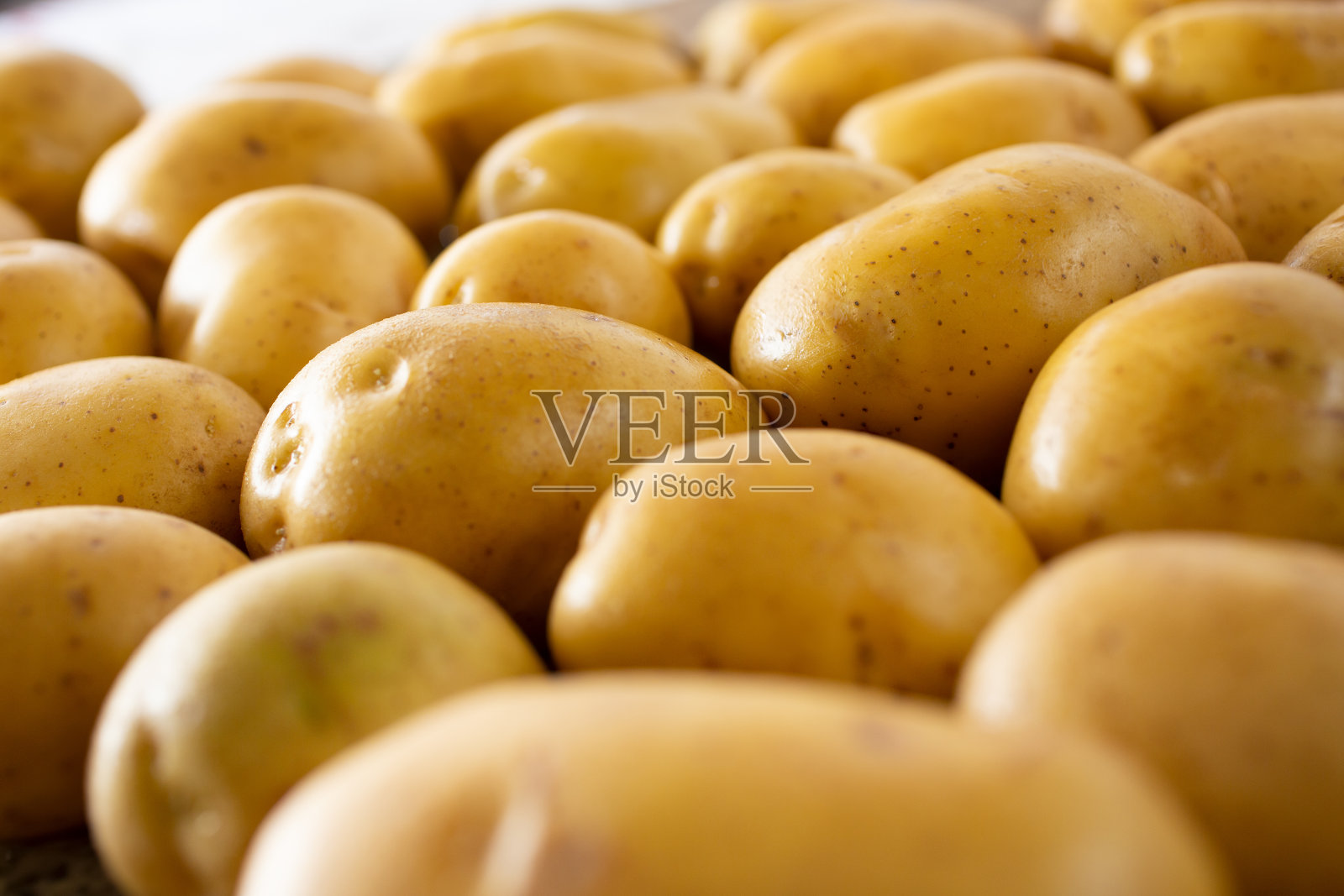 黄金土豆照片摄影图片