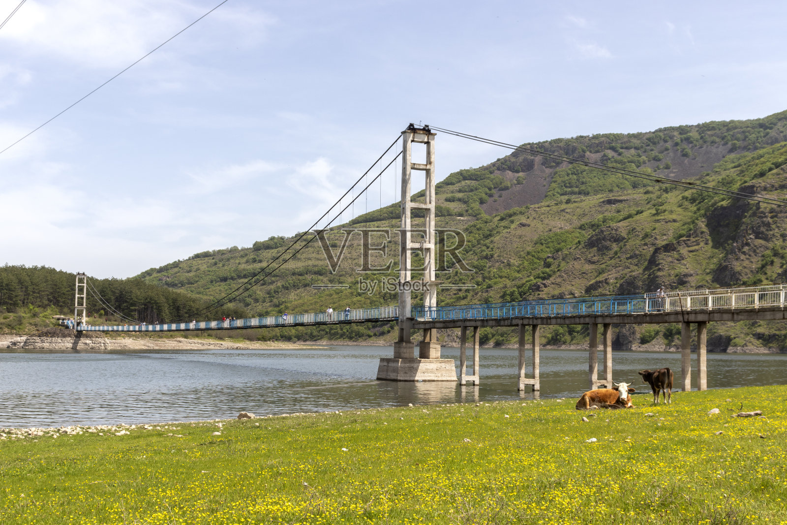 保加利亚Studen Kladenets水库上的Lisitsite桥照片摄影图片