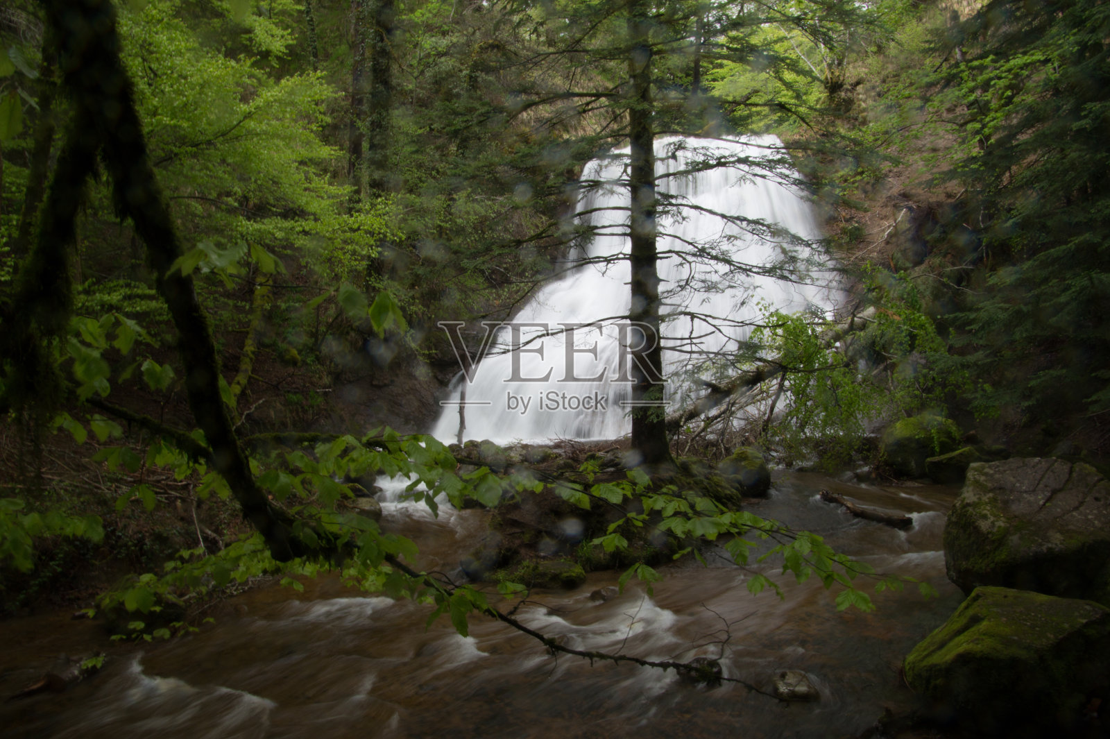 公园自然奥弗涅照片摄影图片