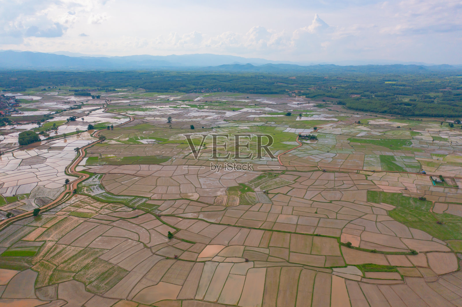 鸟瞰图水稻梯田与水反射，绿色农田在农村，山丘陵山谷，帕邦平，泰国清迈。自然景观。农作物的收成。照片摄影图片