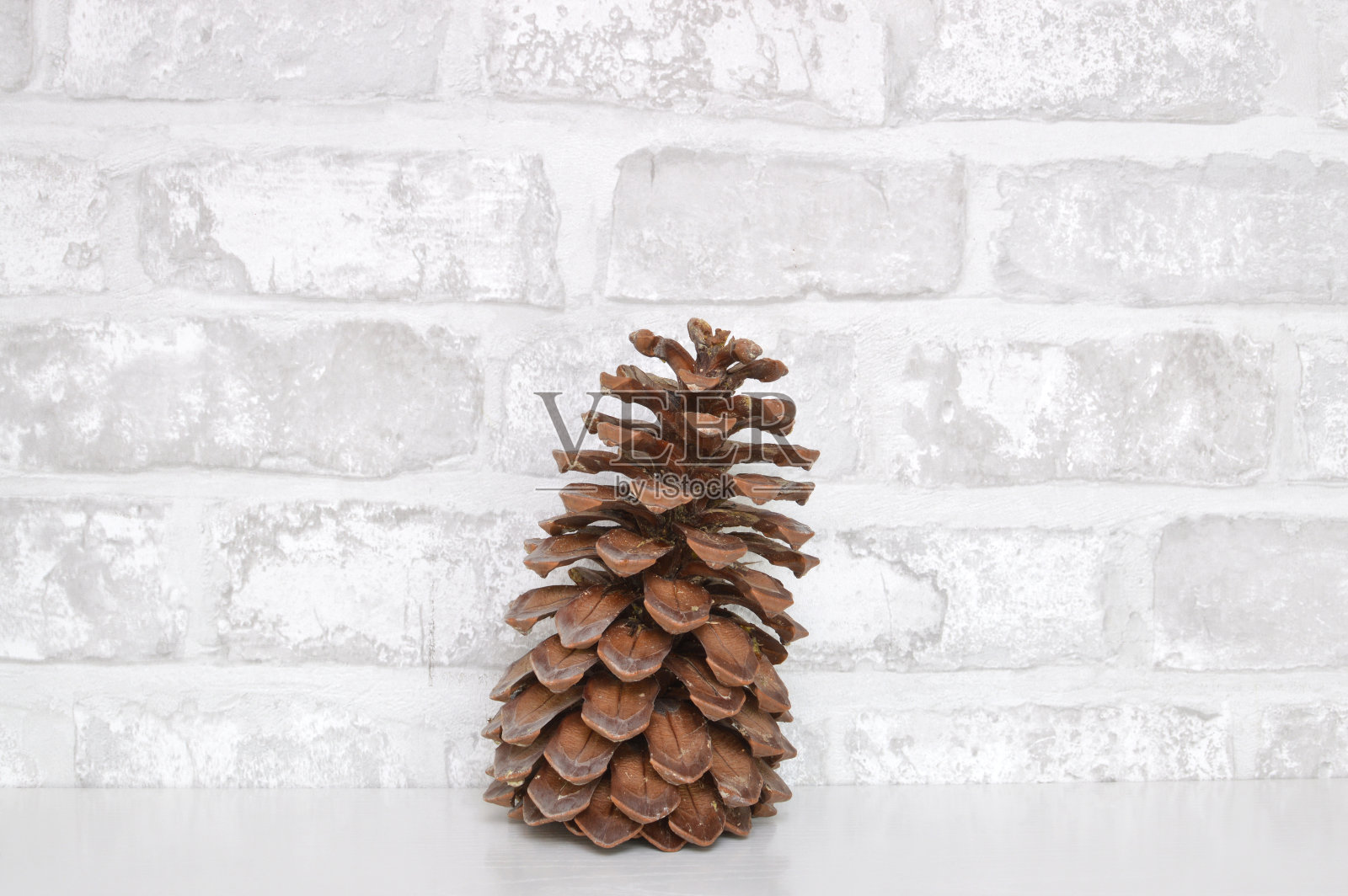 巨大的松果照片摄影图片