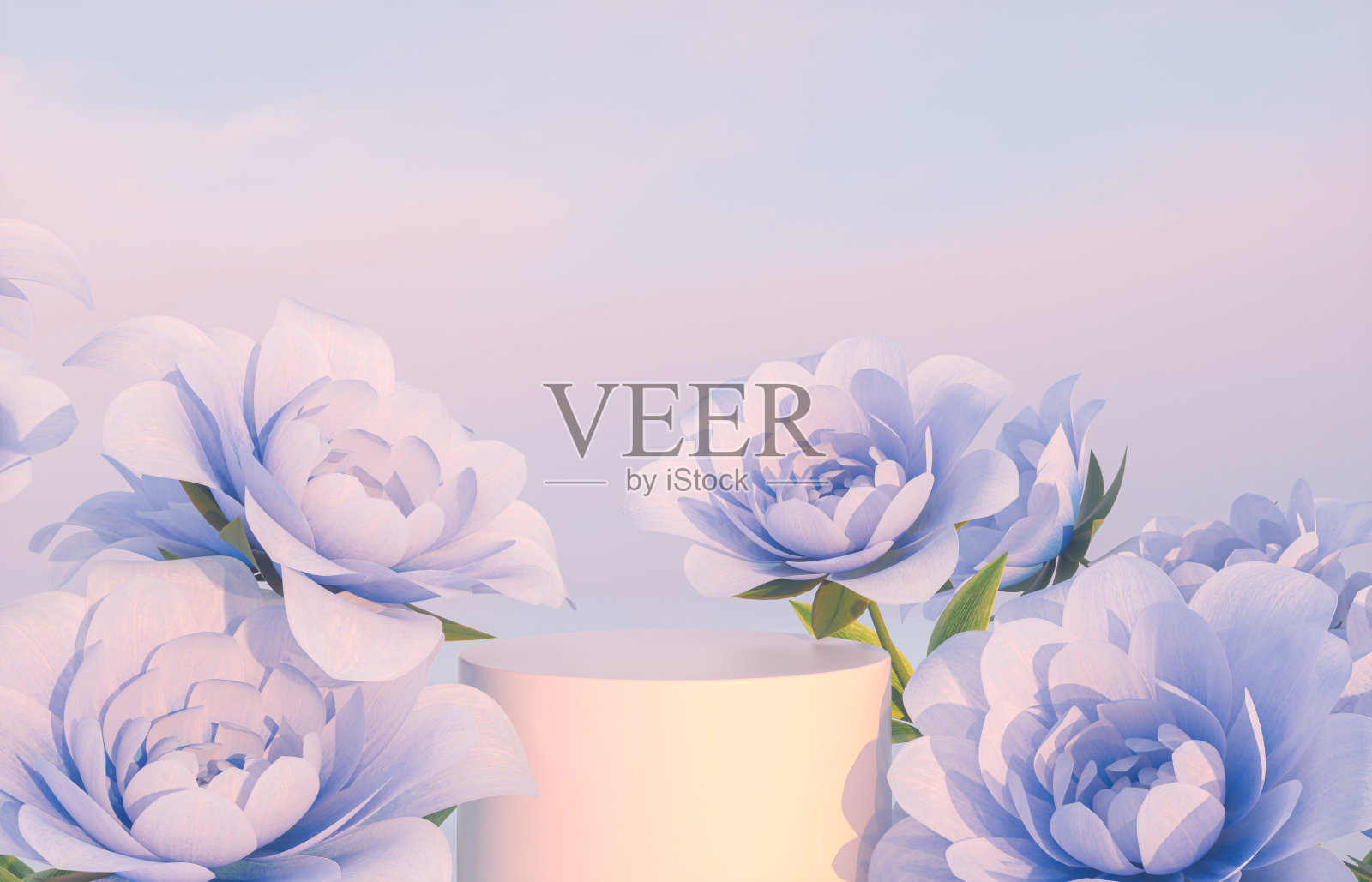 自然之美领奖台背景产品展示与蓝色玫瑰花。照片摄影图片