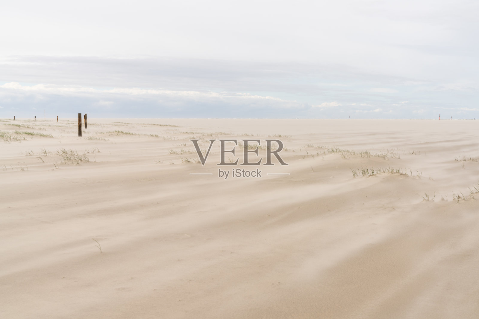 美丽的田园诗般的海滩，草和木桩和强风吹沙照片摄影图片