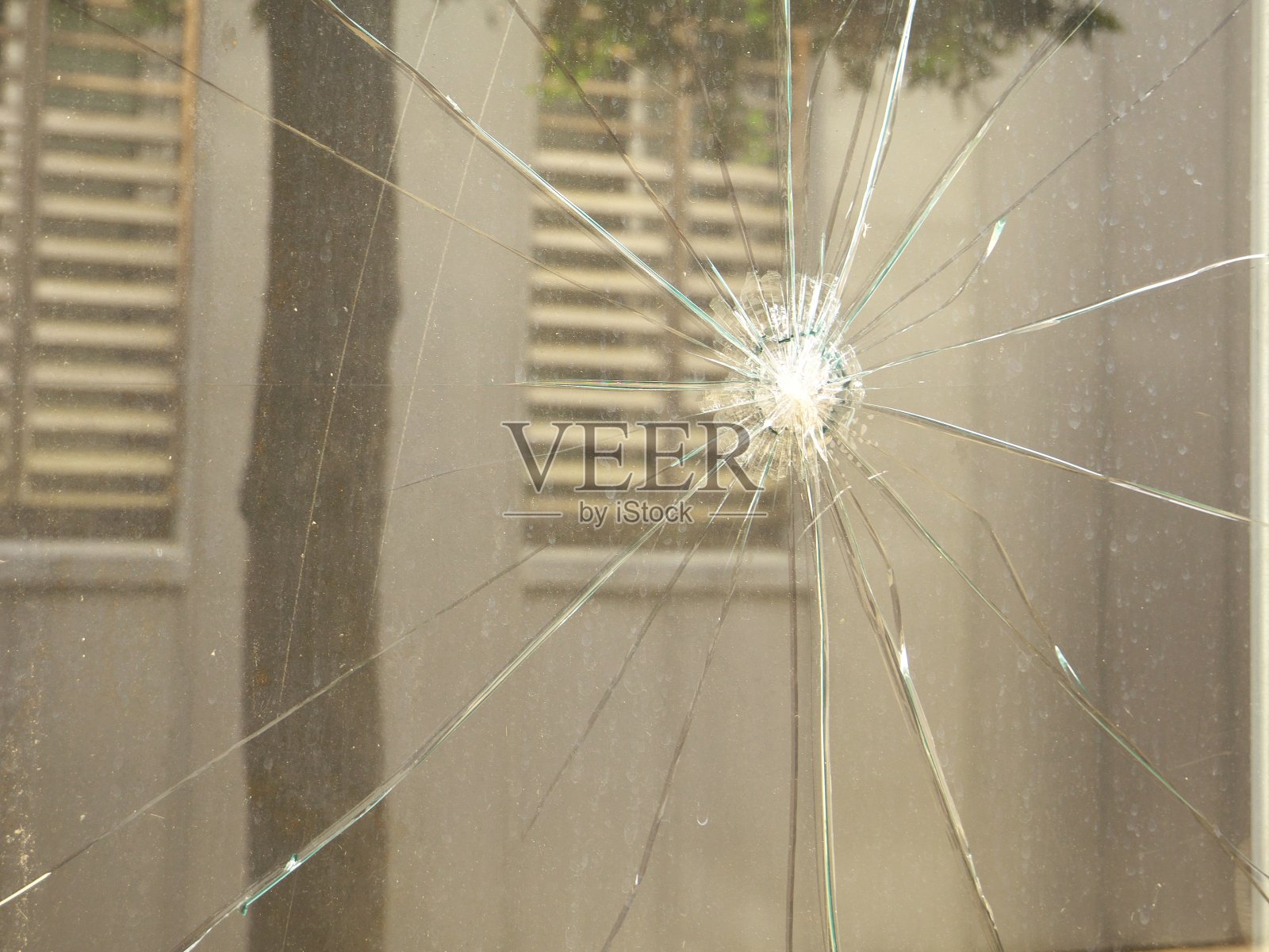 破碎的窗户与其他窗户和一棵树的倒影照片摄影图片