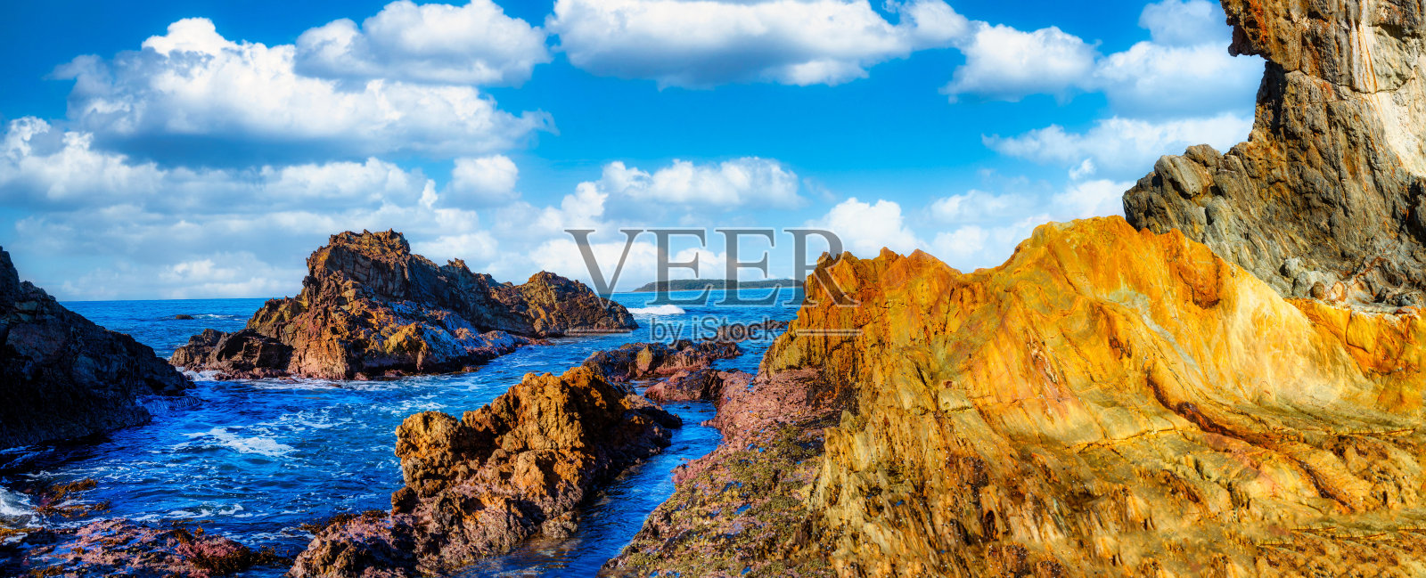 巴德海滩玩具熊照片摄影图片