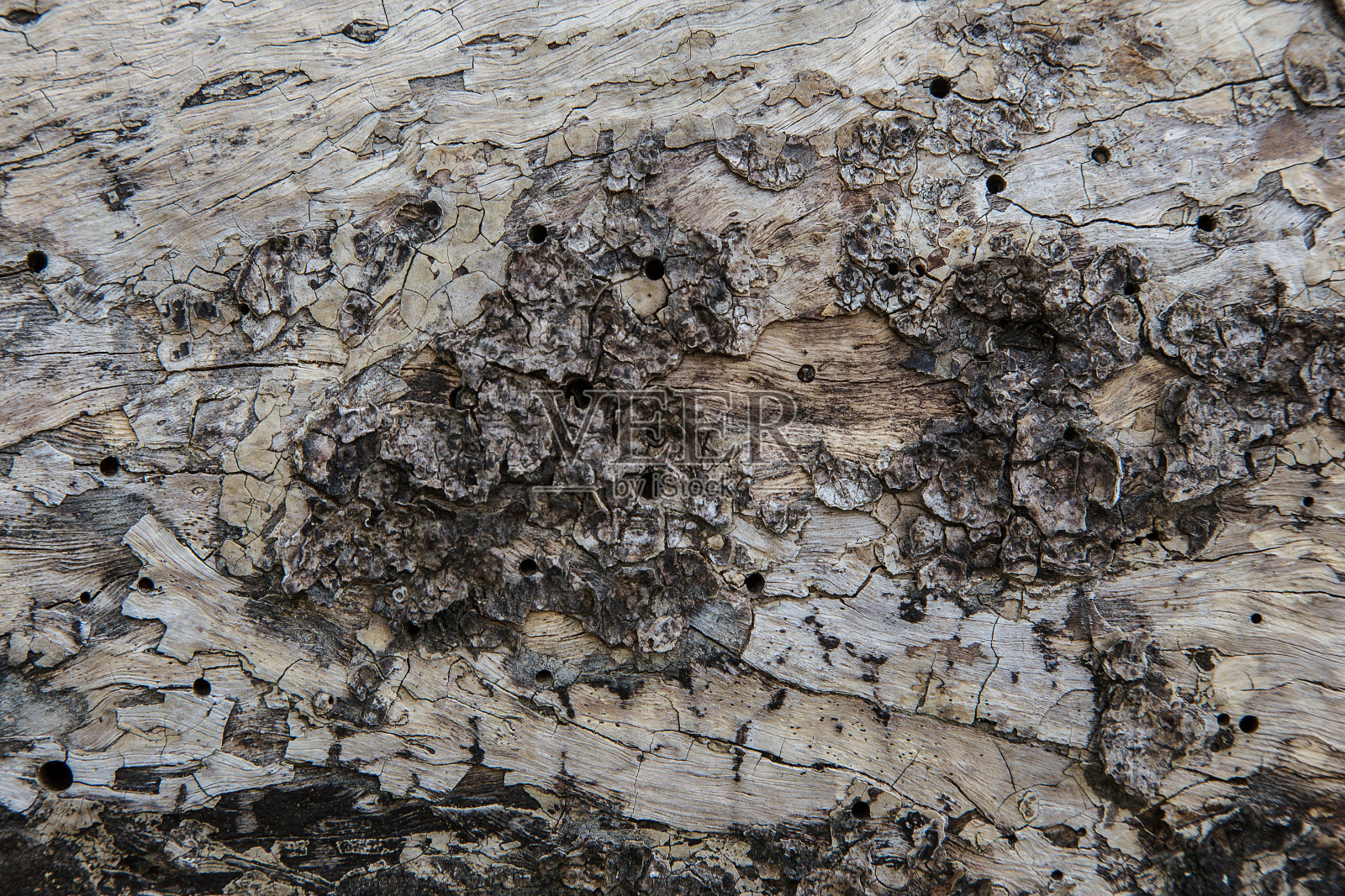 树皮纹理木材背景照片摄影图片