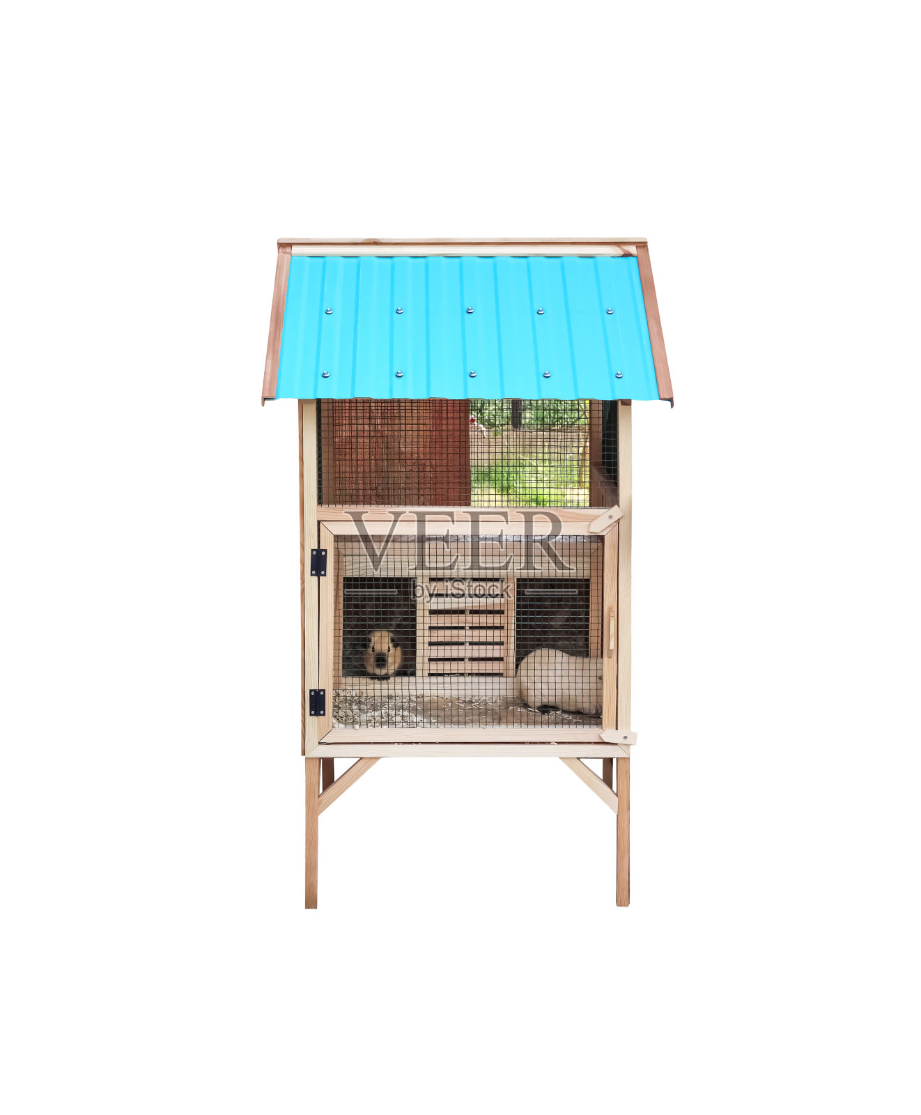 家养宠物木笼子里有小仓鼠，孤立在白色的背景上，剪小路照片摄影图片