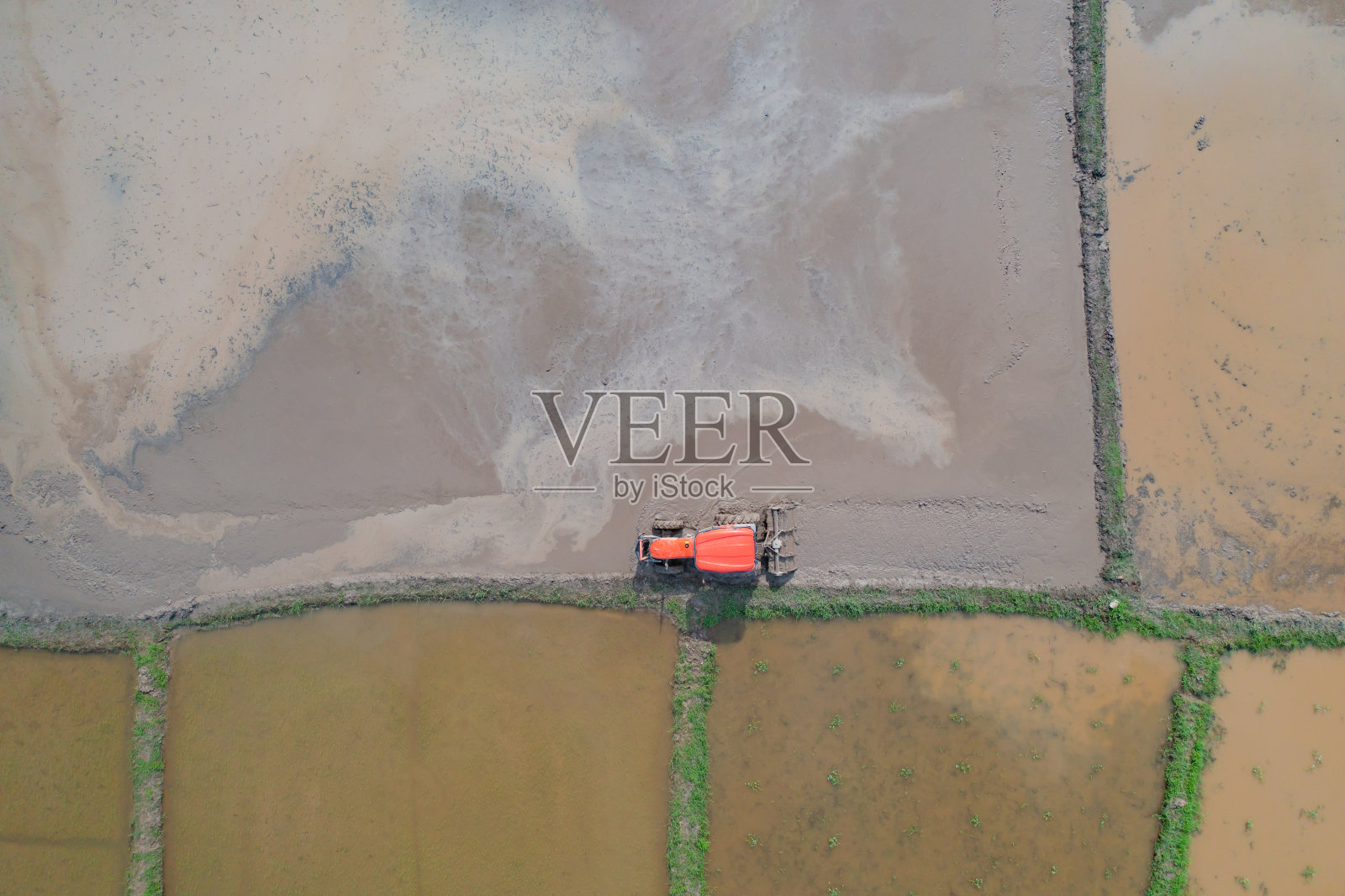 空中俯视图拖拉机水稻车工作在水种植水稻，作物田，收获农业制造商栽培生产。自然环境景观。行业在农场照片摄影图片