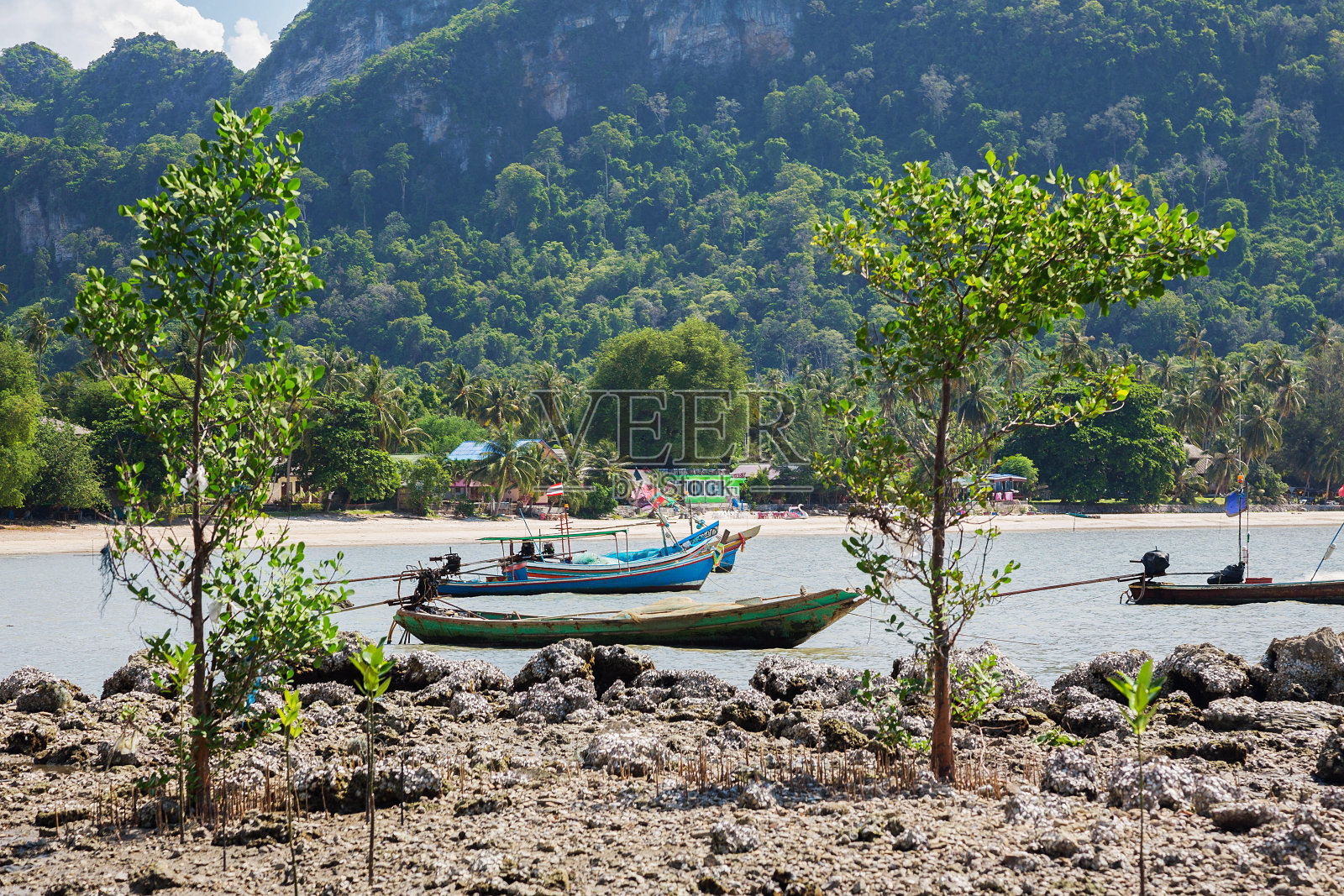 Isla Dama，国家保护区，punta de choros, coquimbo地区，智利的旅游业照片摄影图片