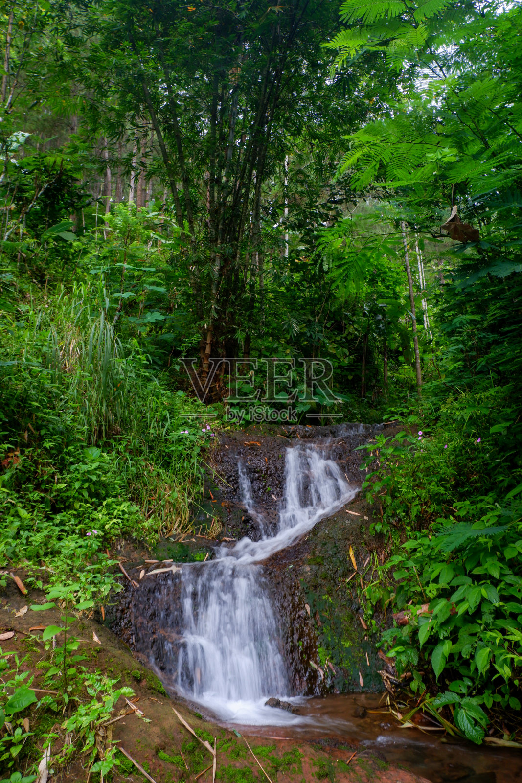 一个瀑布的照片，看起来非常美丽和凉爽，Wonosobo，印度尼西亚照片摄影图片