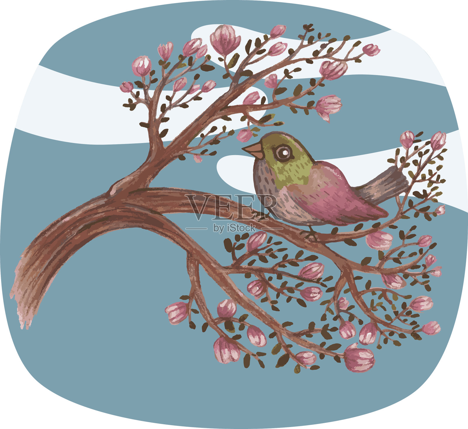 春枝与鸟插画图片素材