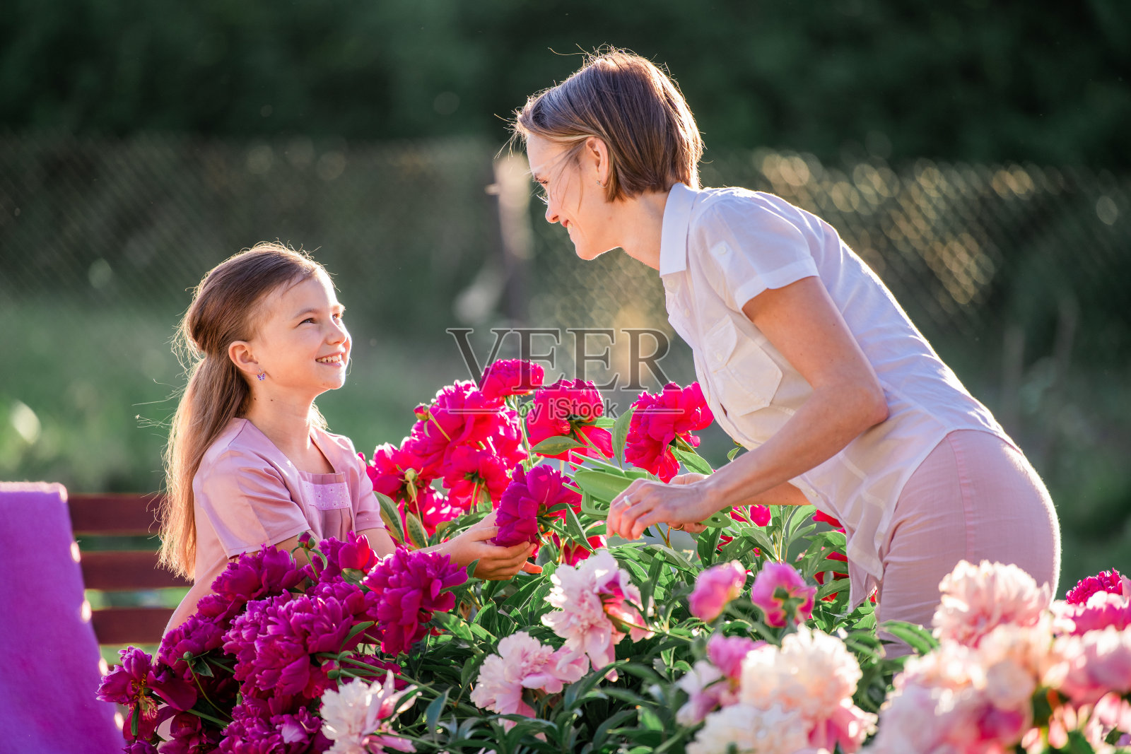 妈妈和女儿穿着一件粉红色的亚麻布裙子在村舍的花园里照顾牡丹，浇花。他完美地笑了。被夕阳的光芒照亮。照片摄影图片