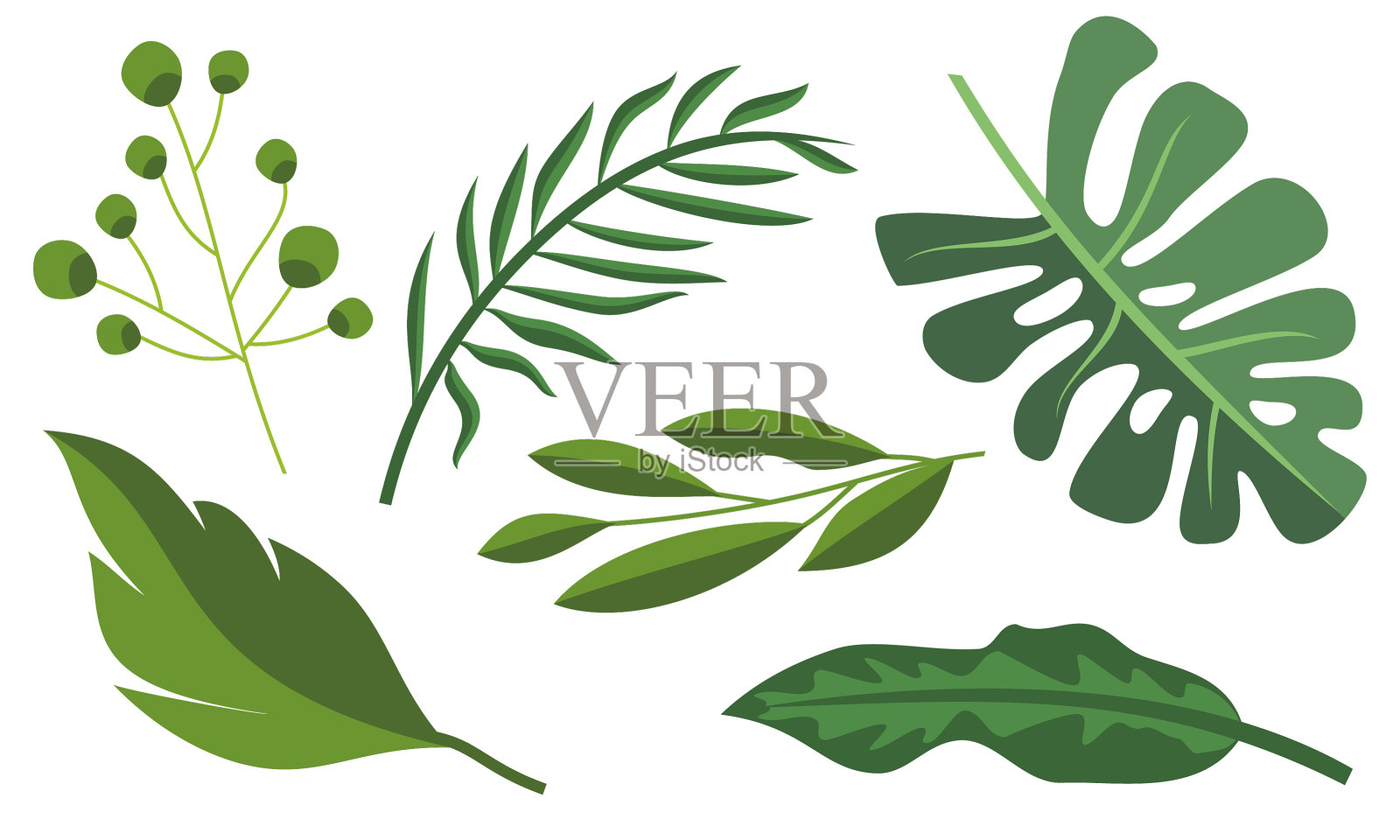 收集热带树叶的夏季标志设计元素图片