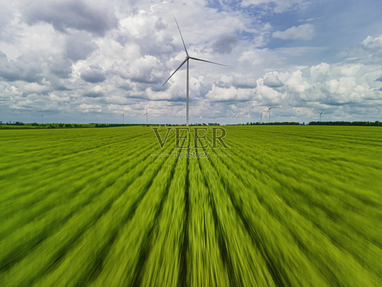 风力发电机与绿色小麦成行。照片摄影图片