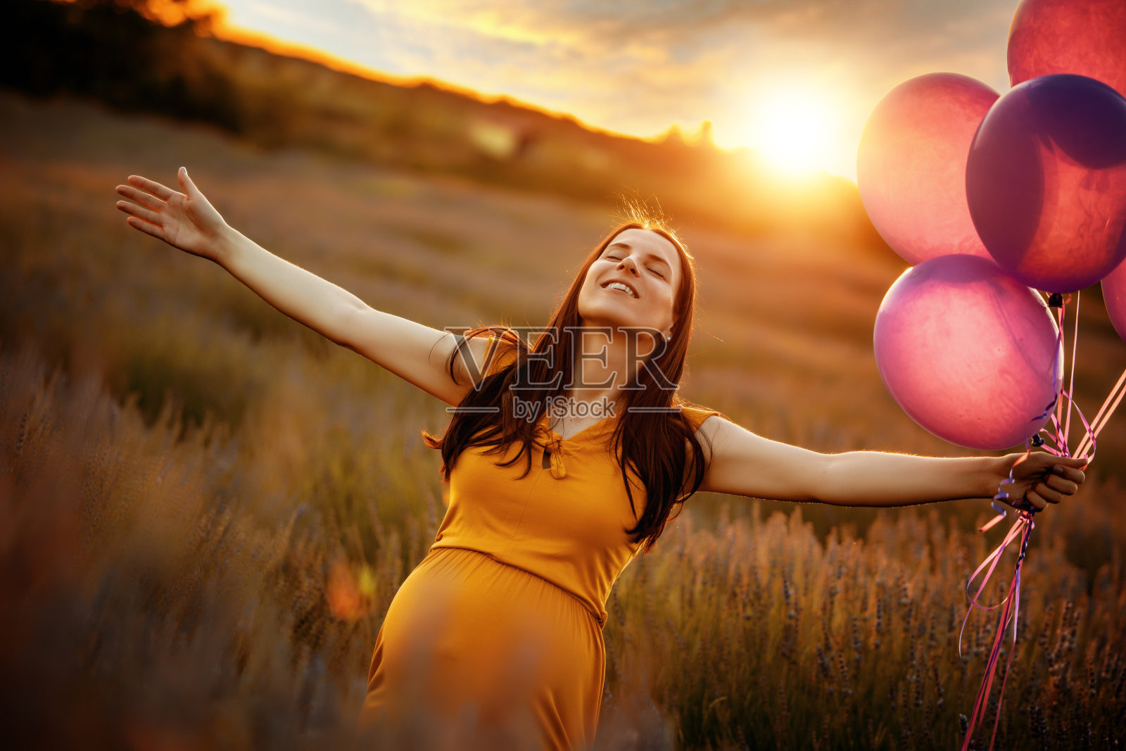 美丽的孕妇在薰衣草地里享受照片摄影图片