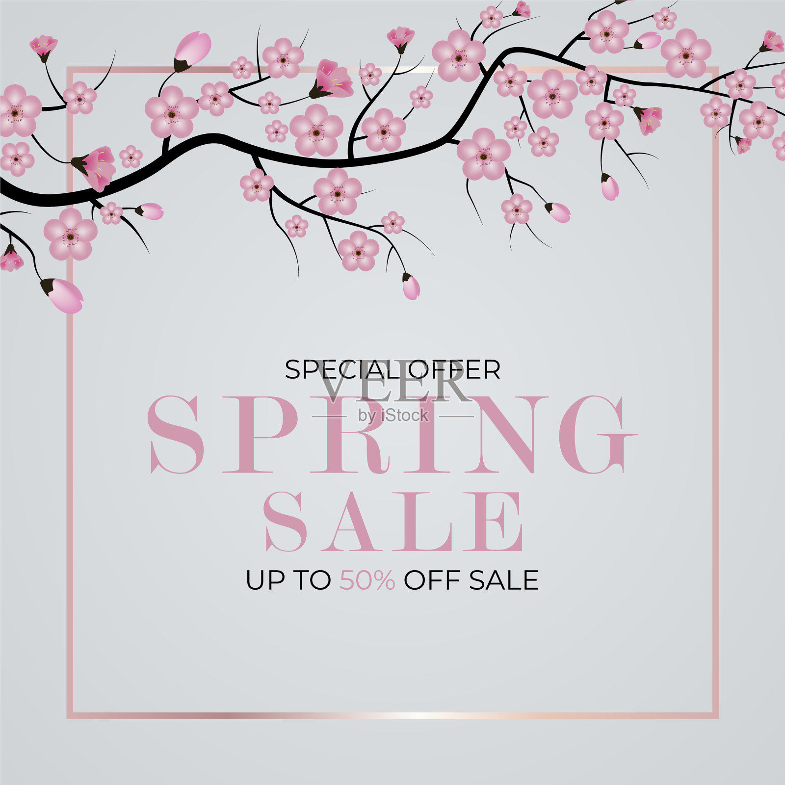 春季特价天然花卉背景eps10插画图片素材