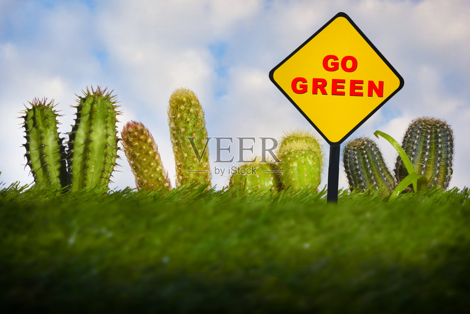 绿色路标上写着绿色的仙人掌植物，背景是绿色的草照片摄影图片
