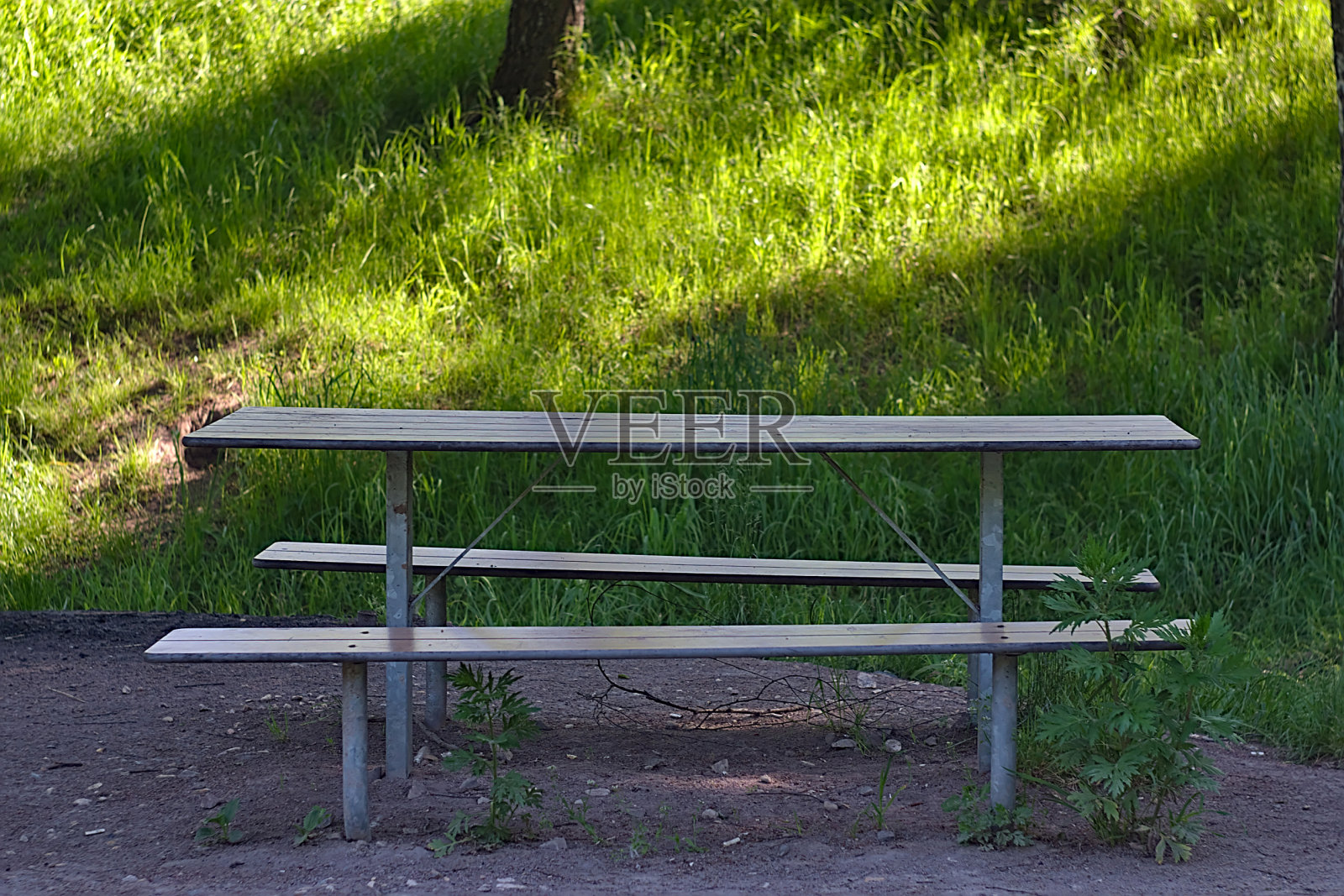 森林公园步行区的桌子和长凳照片摄影图片