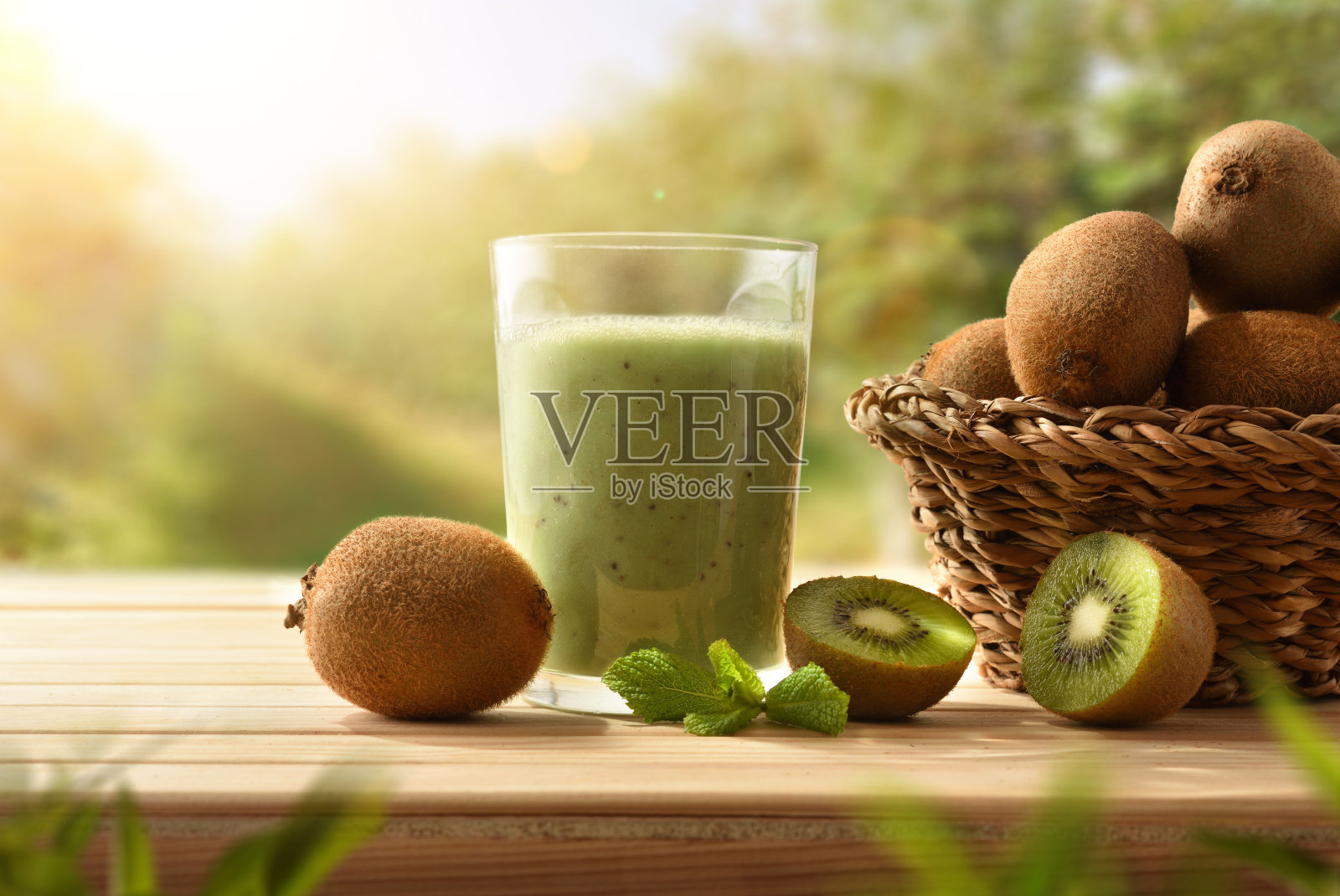 新鲜收集猕猴桃汁从有机农业种植园。照片摄影图片