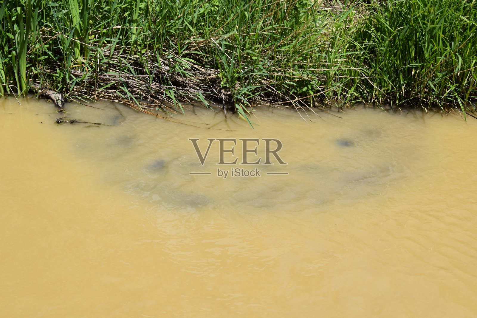 浑水照片摄影图片