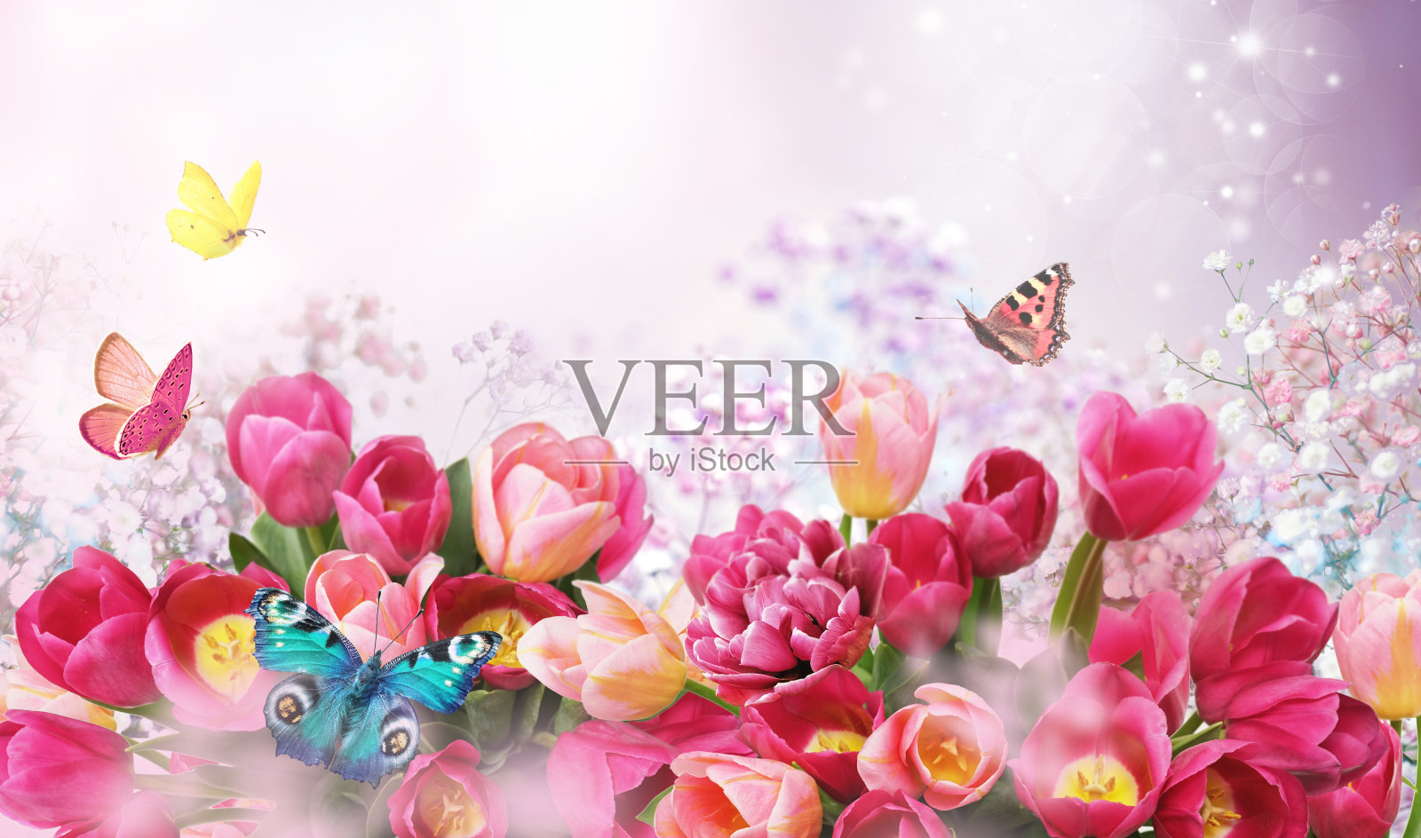 美丽精致的花卉组成与粉红色的郁金香和飞舞的蝴蝶。照片摄影图片