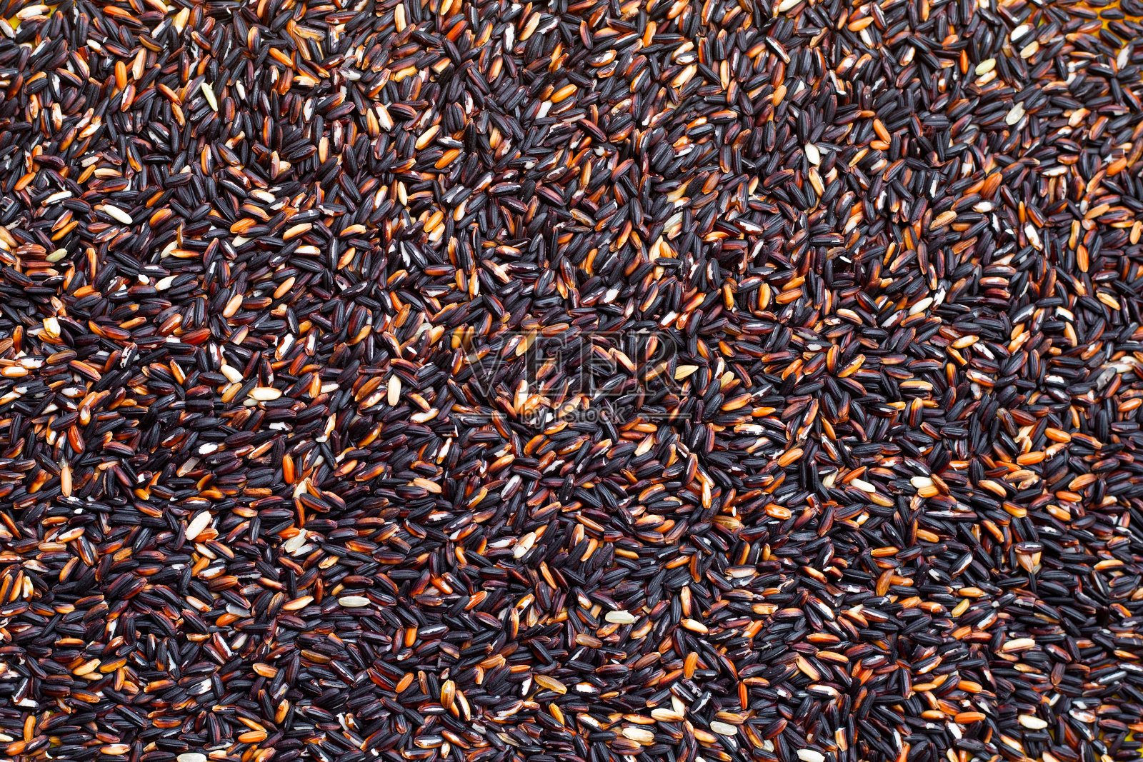 生的黑色糯米背面地面。照片摄影图片