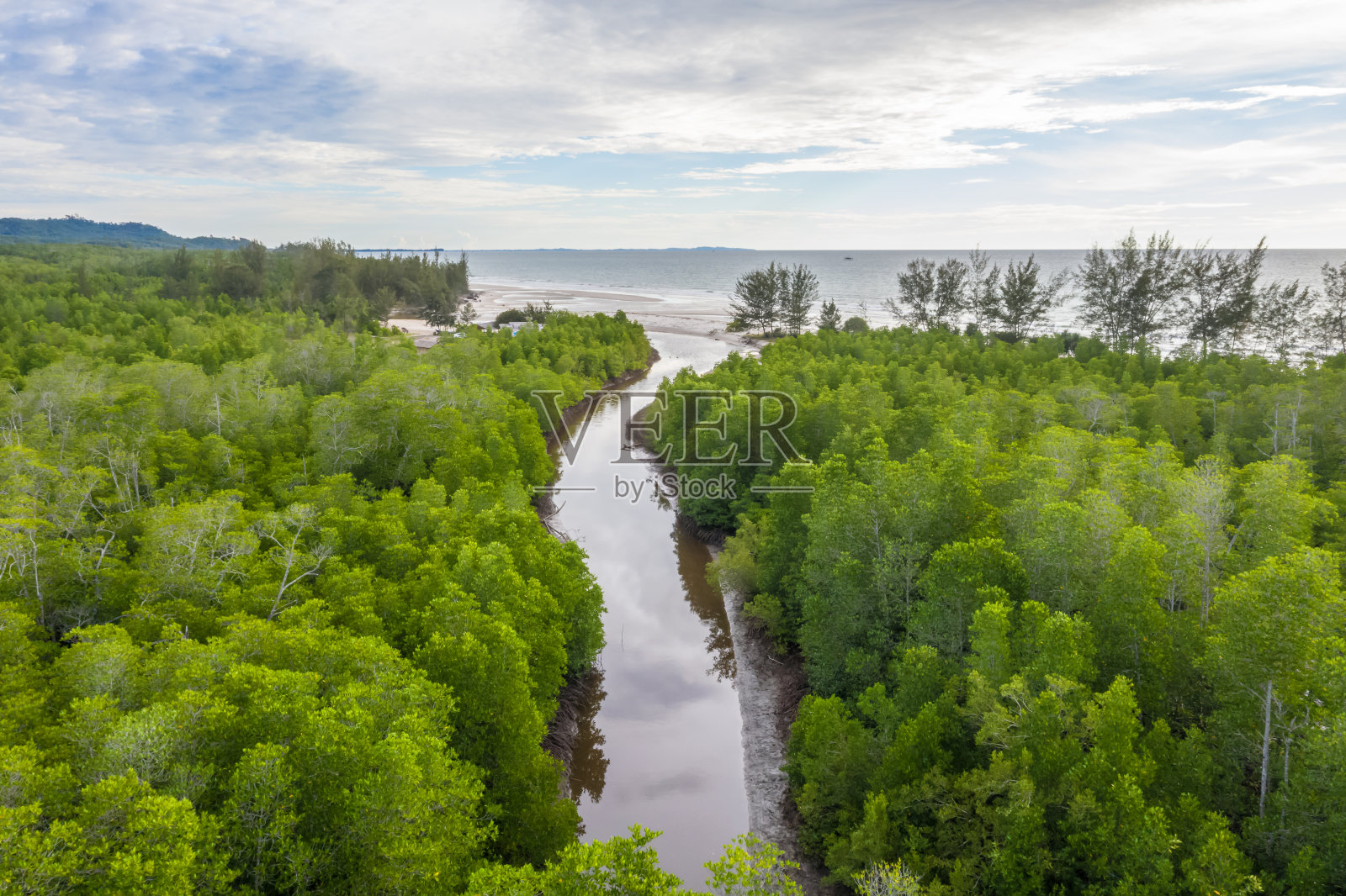 马来西亚沙巴婆罗洲红树林鸟瞰图。照片摄影图片