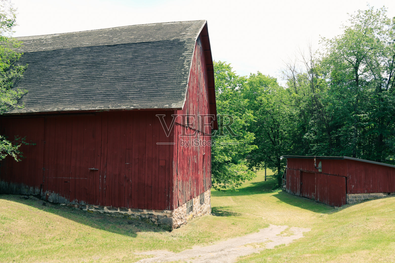 旧红乡农家农舍，土路弯弯曲曲，绿草成荫照片摄影图片