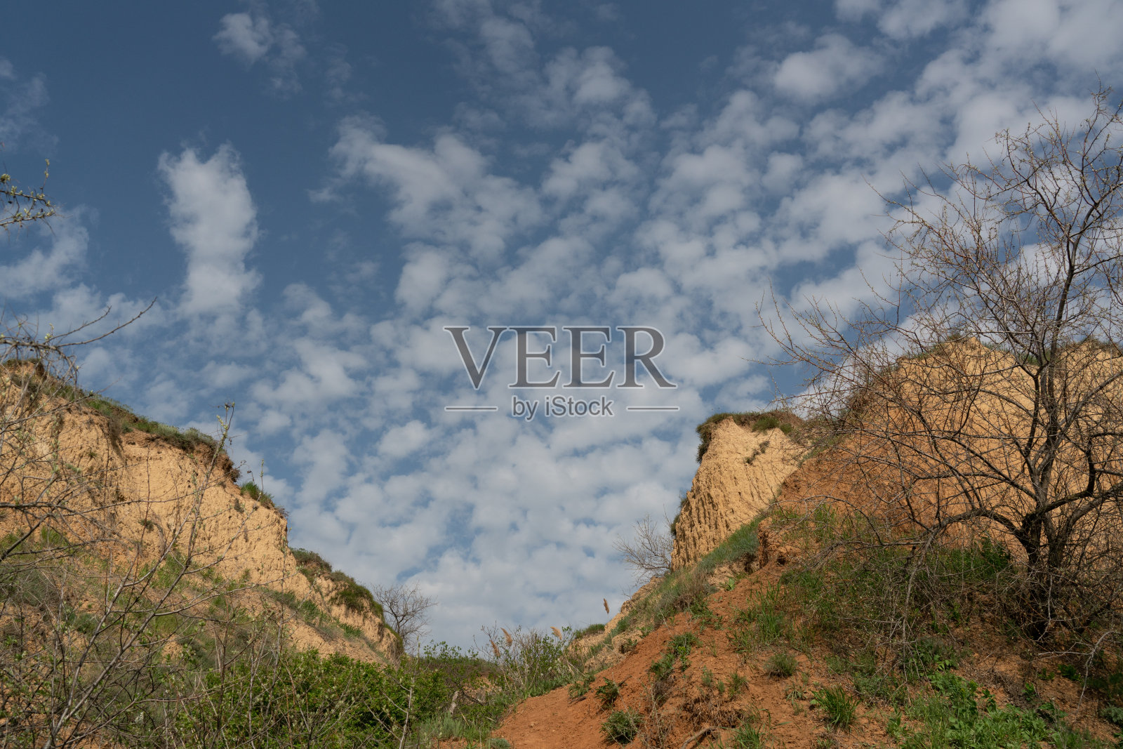 干燥的树木和陡峭的沙崖映衬着蓝天和白云。照片摄影图片