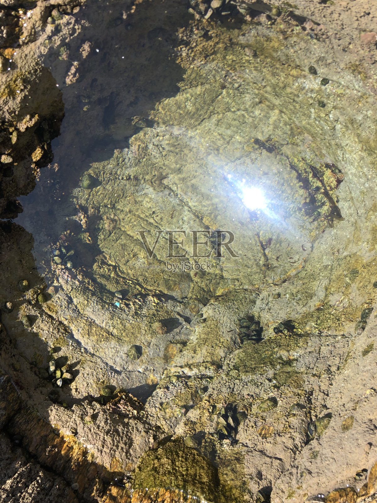 岩石水照片摄影图片