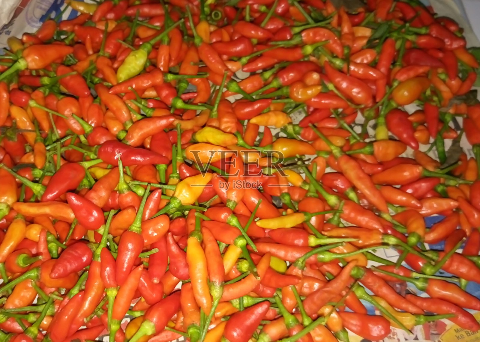 智利照片摄影图片