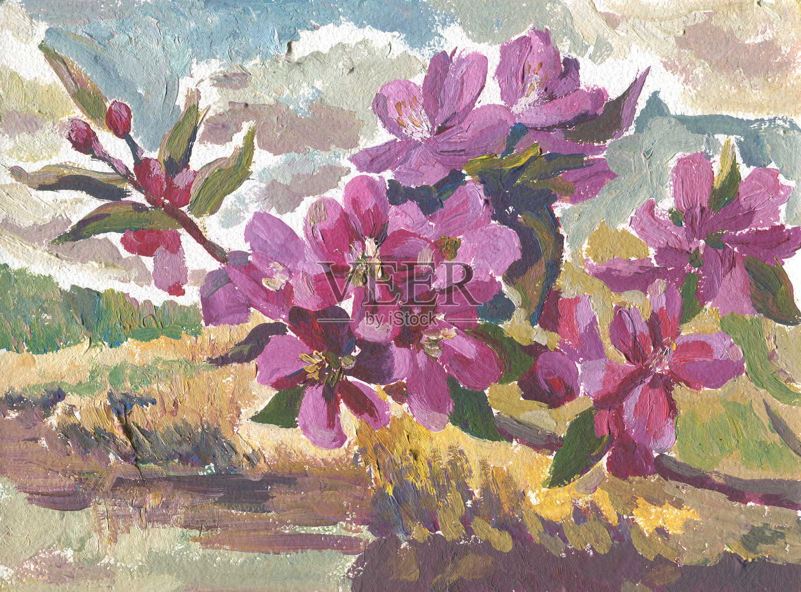 苹果树花枝画插画图片素材