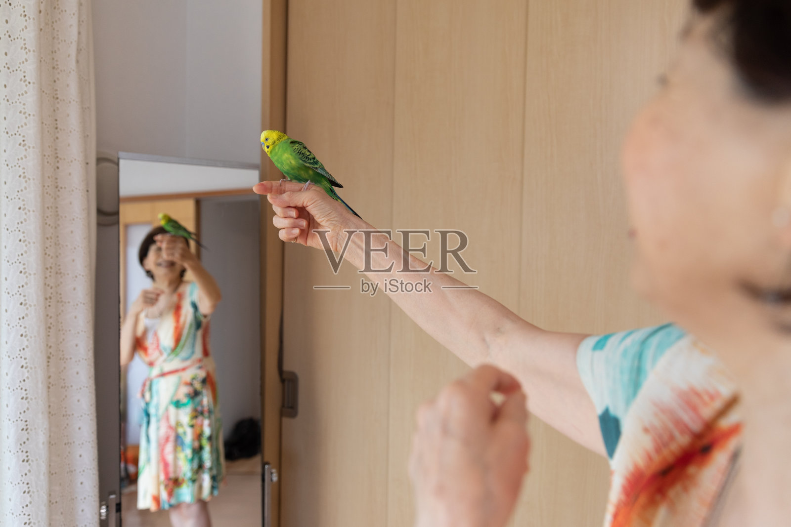 妇女享受打扮在家里与宠物鸟照片摄影图片