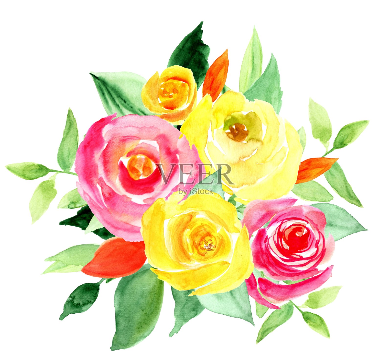 粉红色和紫罗兰玫瑰花束，水彩手绘，孤立，白色背景。设计元素为婚礼邀请函，贺卡，标签，标签，标志。插画图片素材