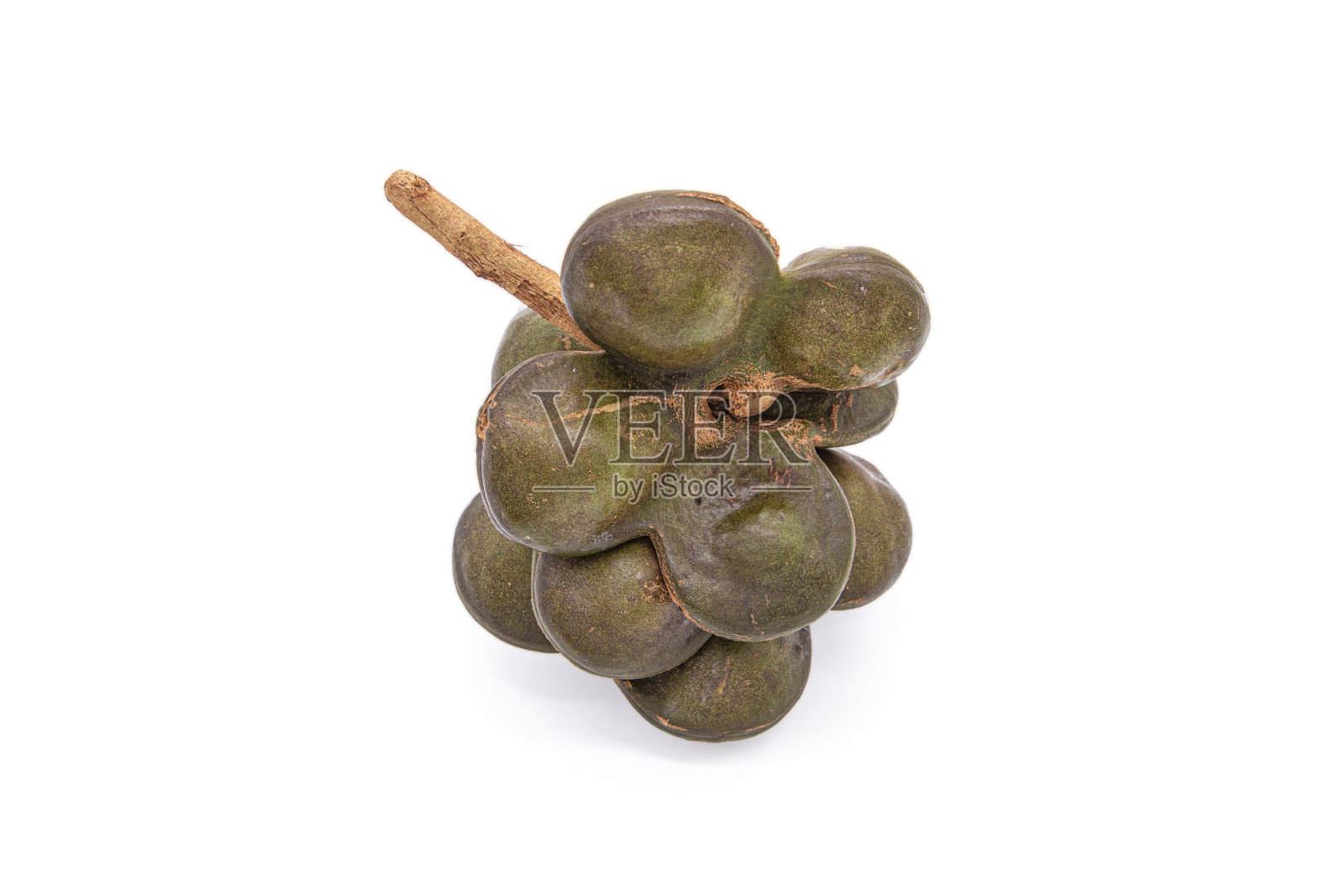 白底热带植物，豆或芦年果照片摄影图片