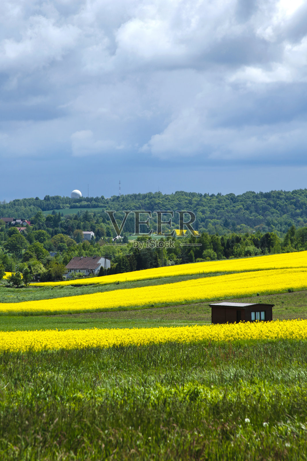 有着油菜地和壮观天空的乡村景观照片摄影图片