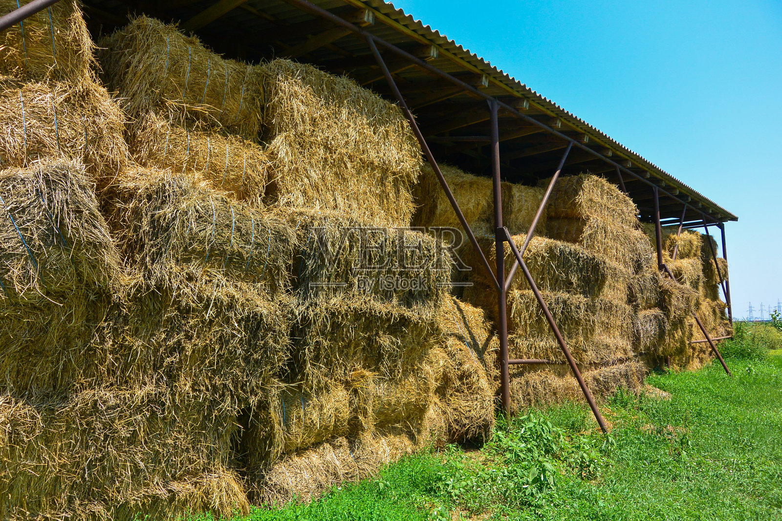 在农田里堆干干草。大草堆收获照片摄影图片