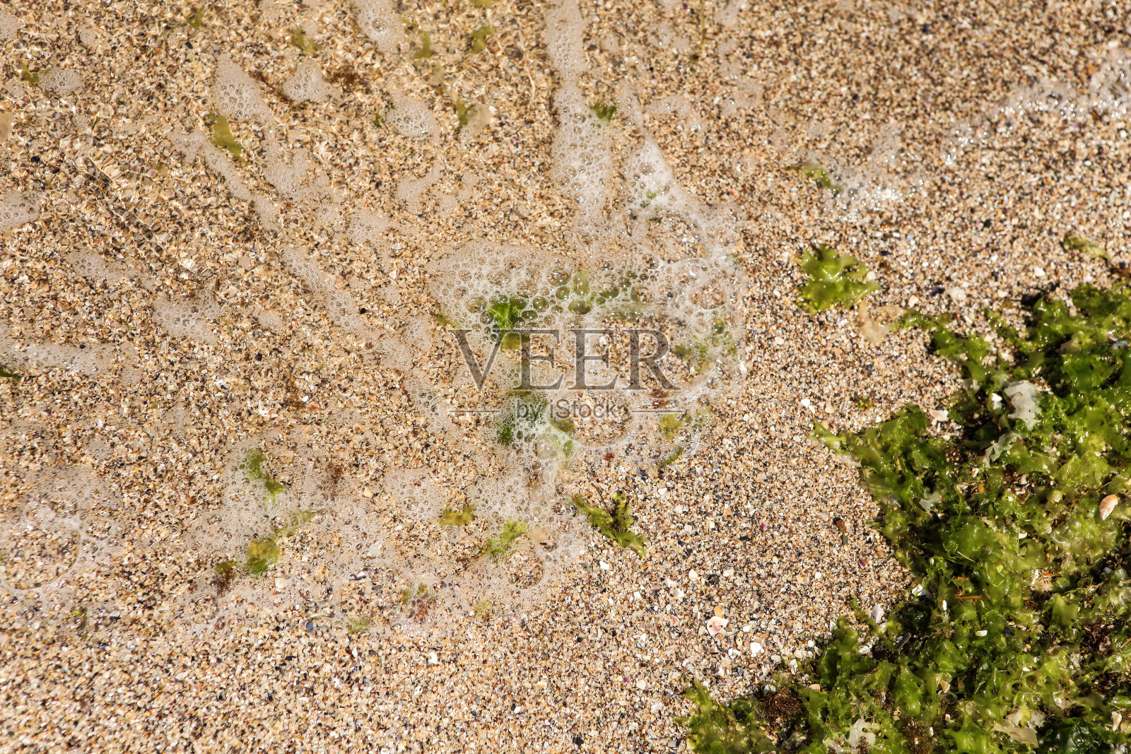 海浪和苔藓在海滩上照片摄影图片