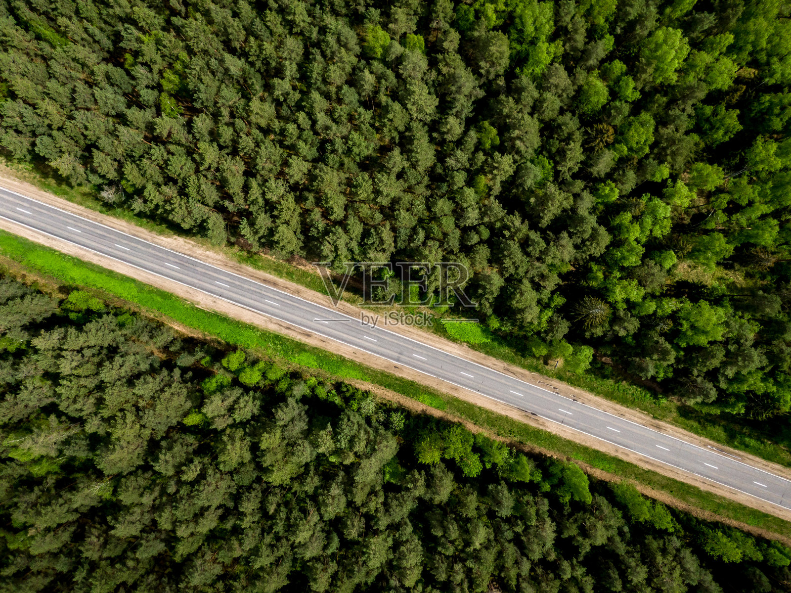穿过森林的那条路。前视图。照片摄影图片