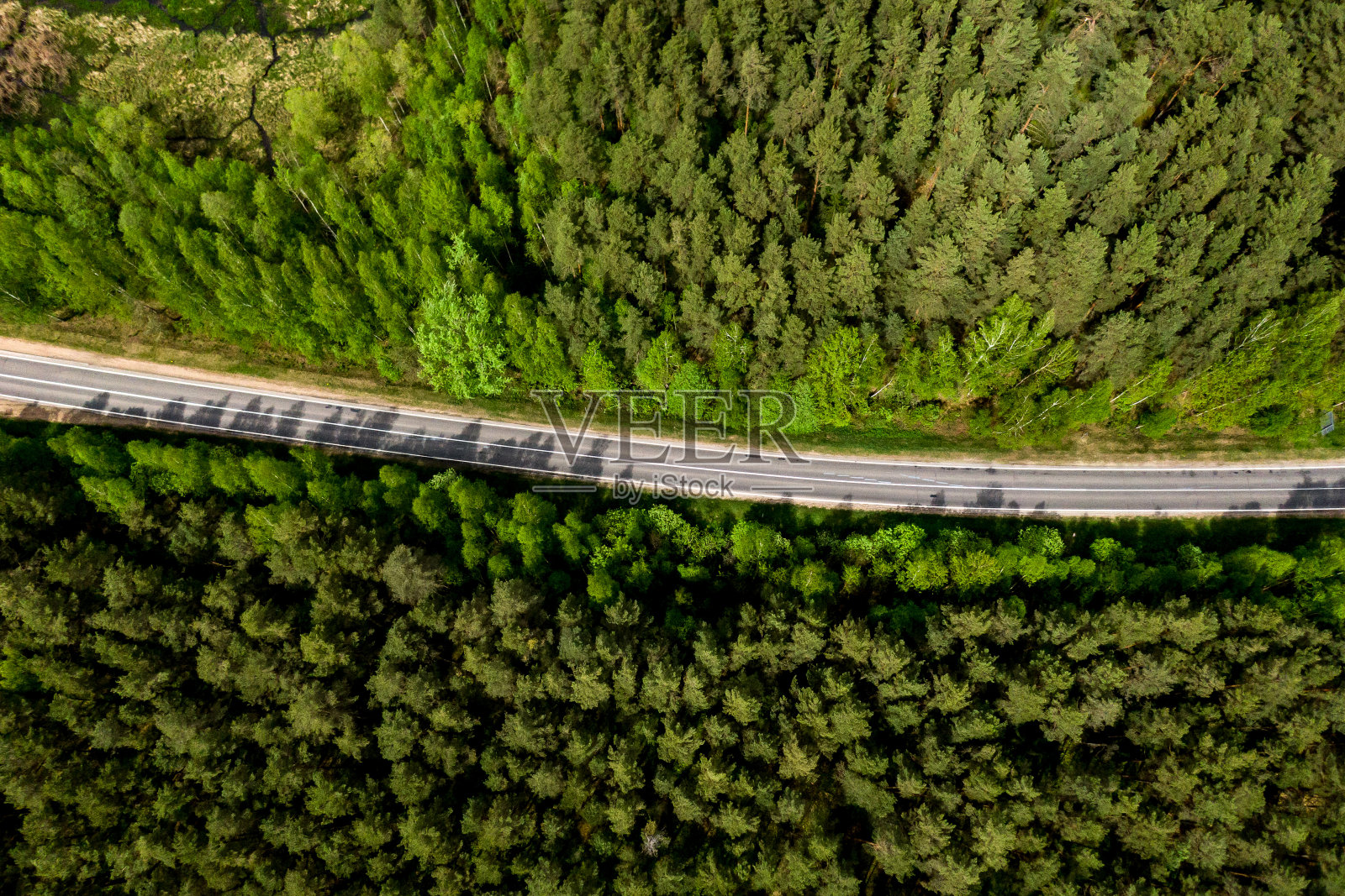 穿过森林的那条路。前视图。照片摄影图片