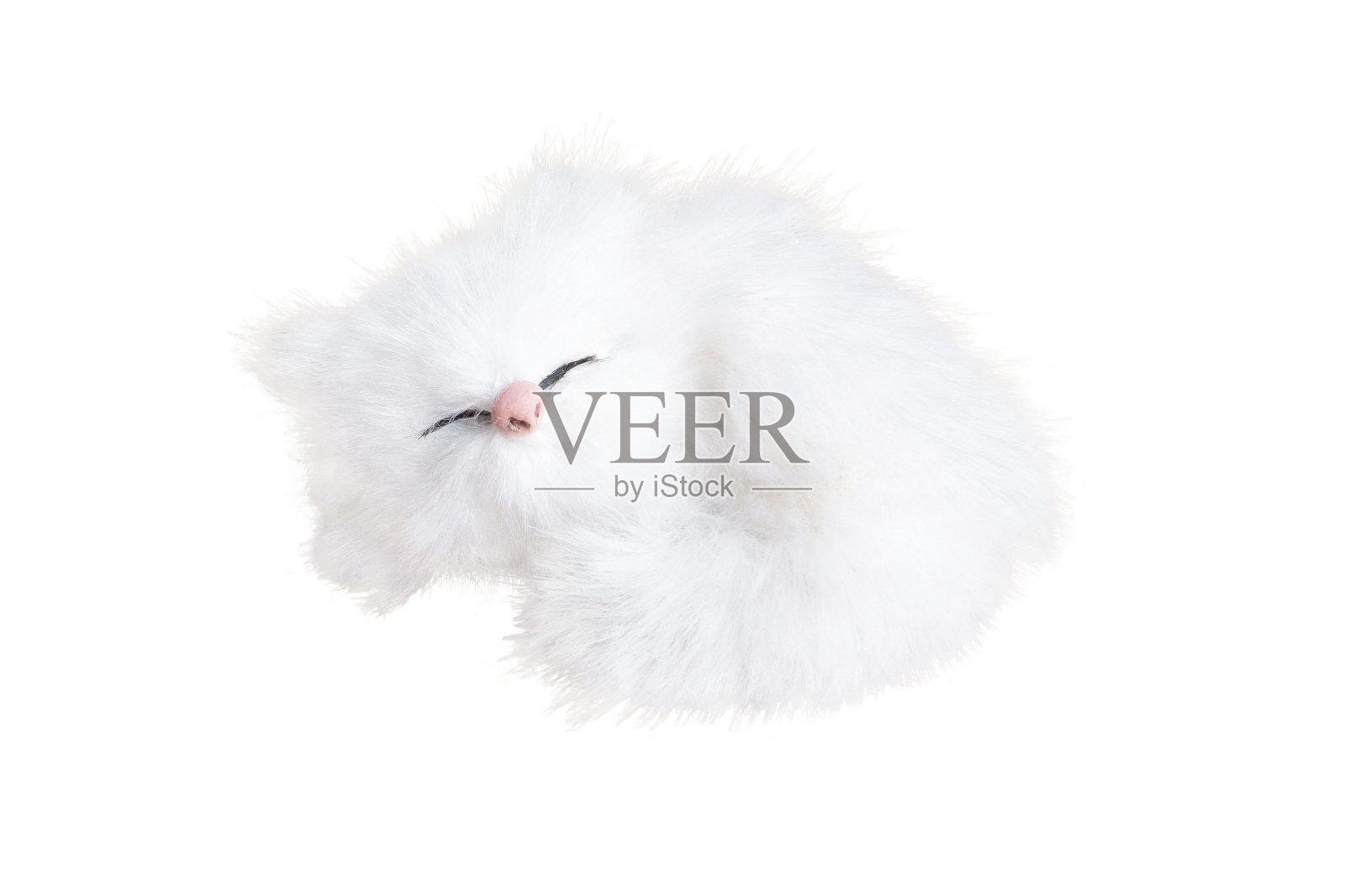 睡的小猫照片摄影图片