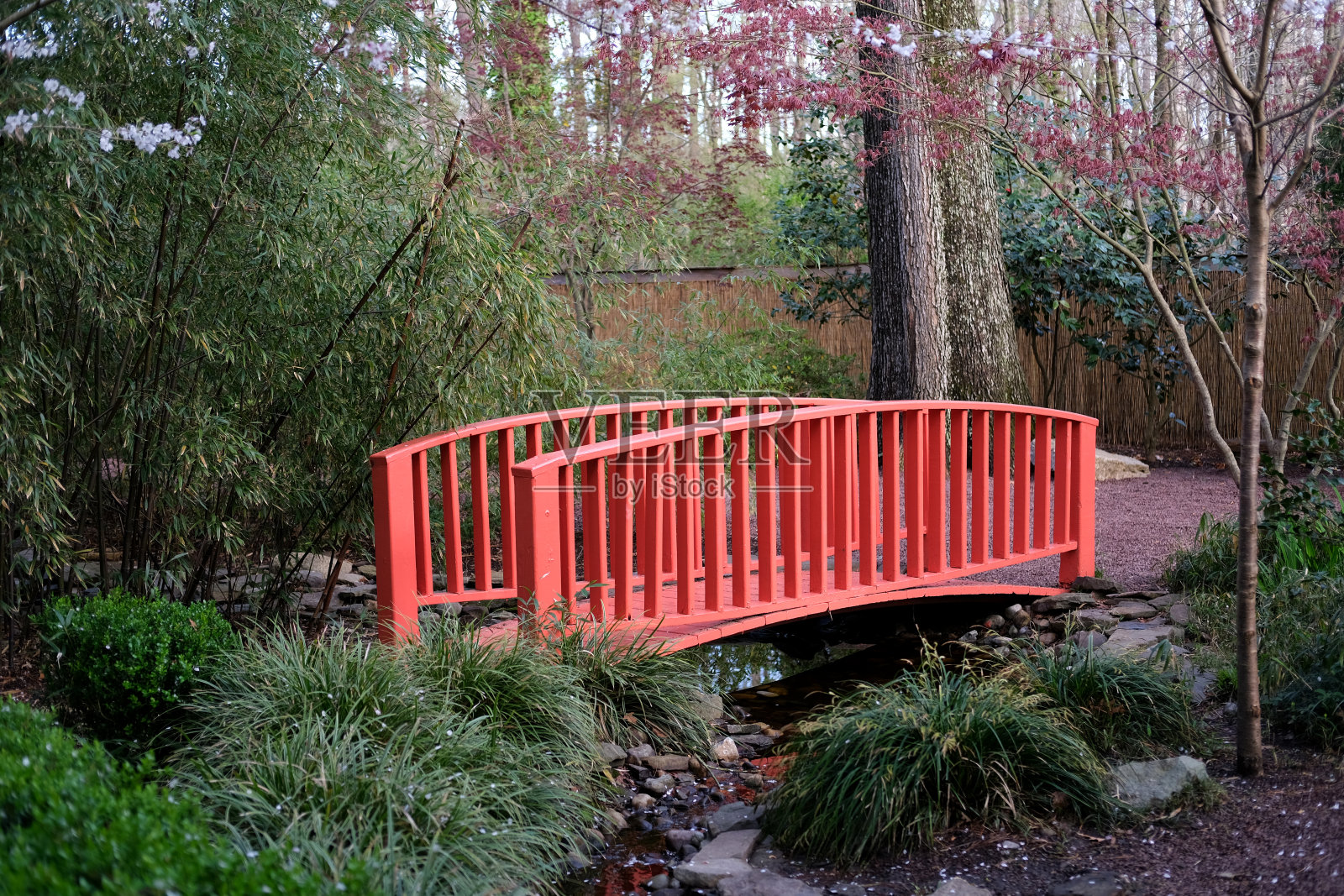 城市公园里的红桥照片摄影图片