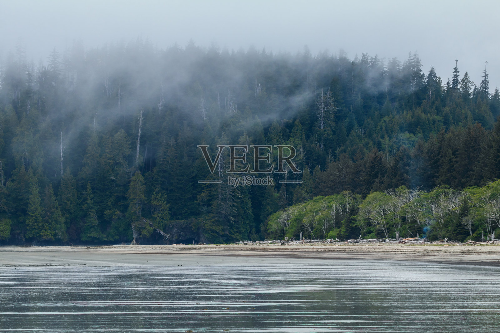 温哥华岛海岸线照片摄影图片