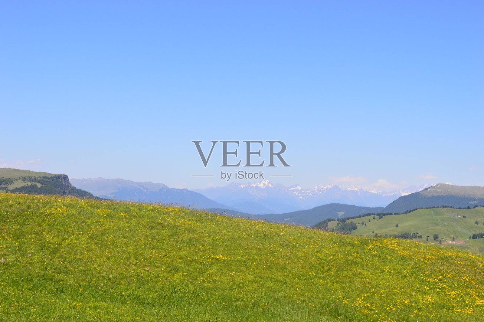 美丽的阿尔卑斯在南蒂罗尔Suise照片摄影图片