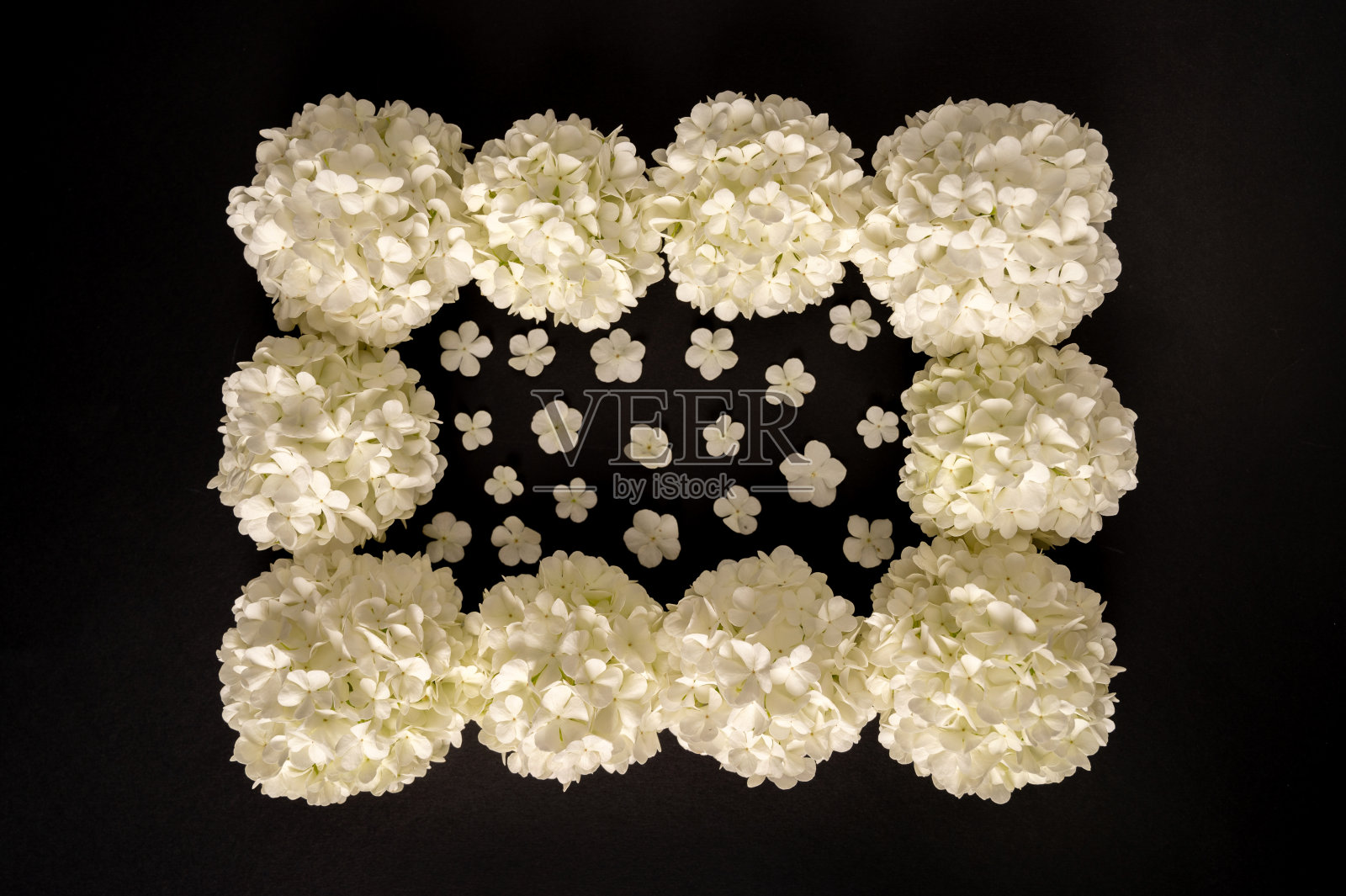 花组成。白花在黑色背景上的框架。照片摄影图片