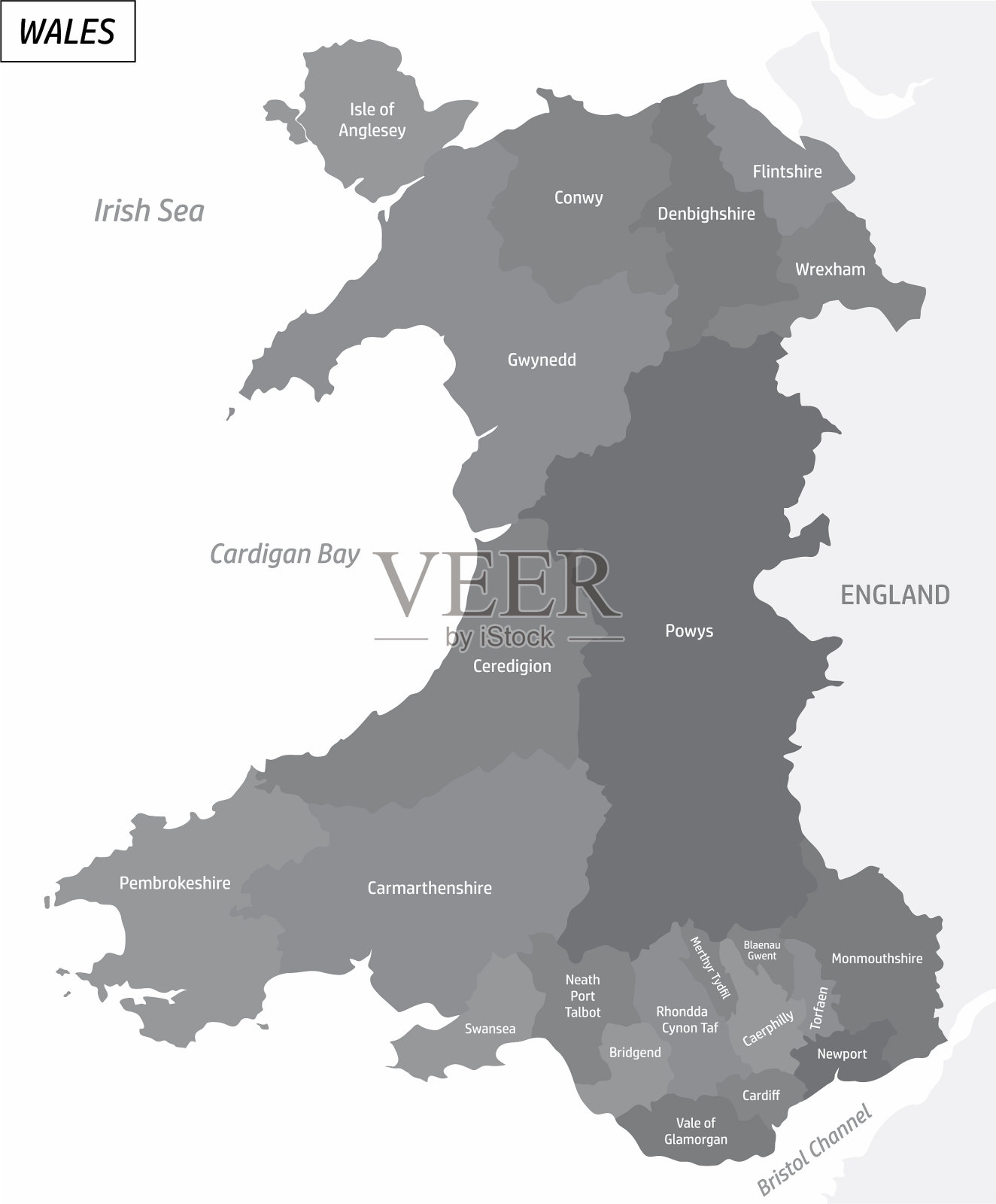 威尔士灰度图插画图片素材