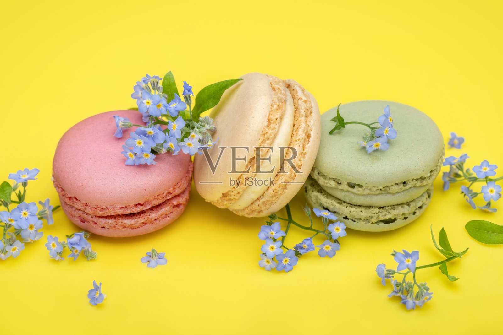 勿忘我和马卡龙的背景。照片摄影图片