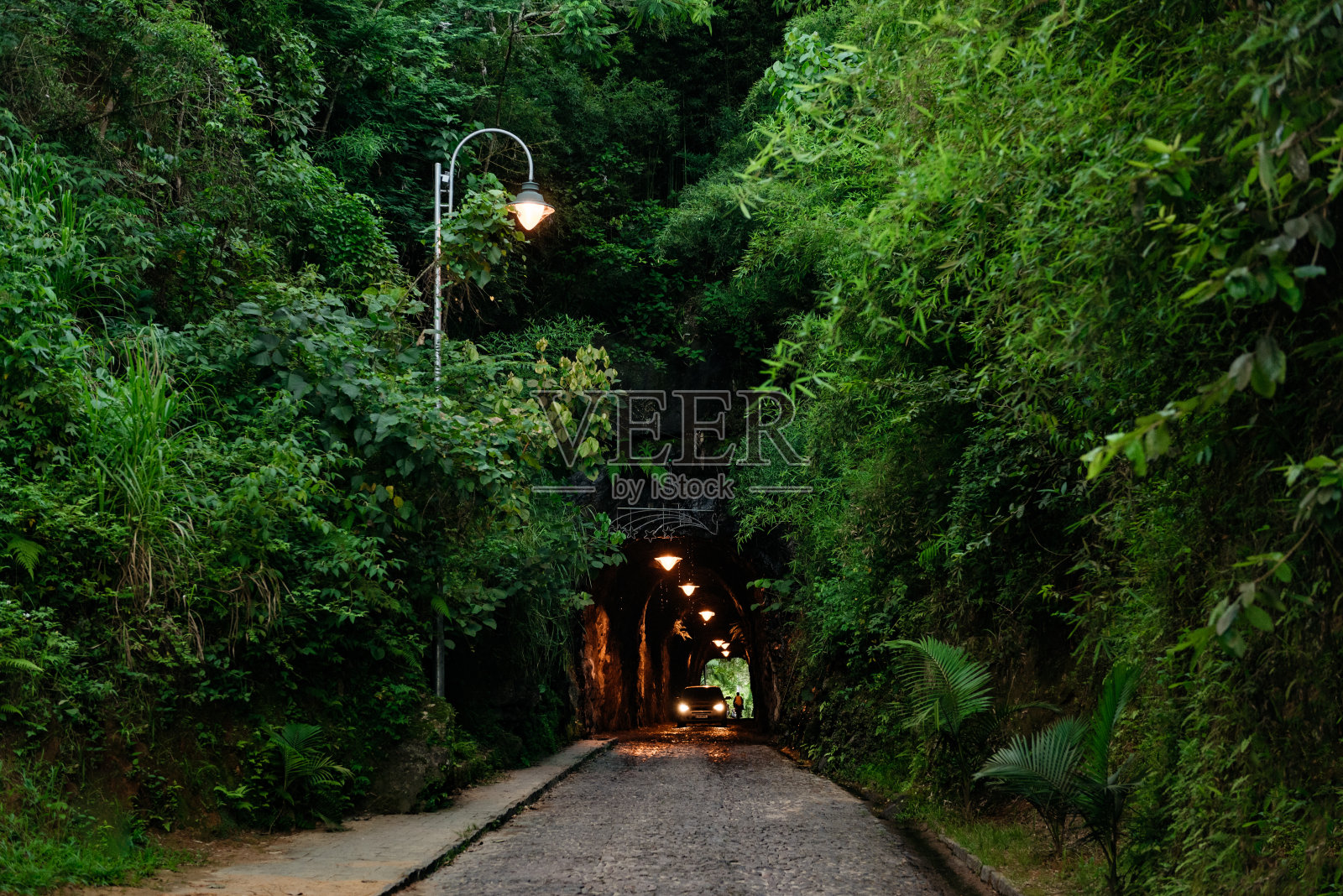 隧道周围的森林照片摄影图片