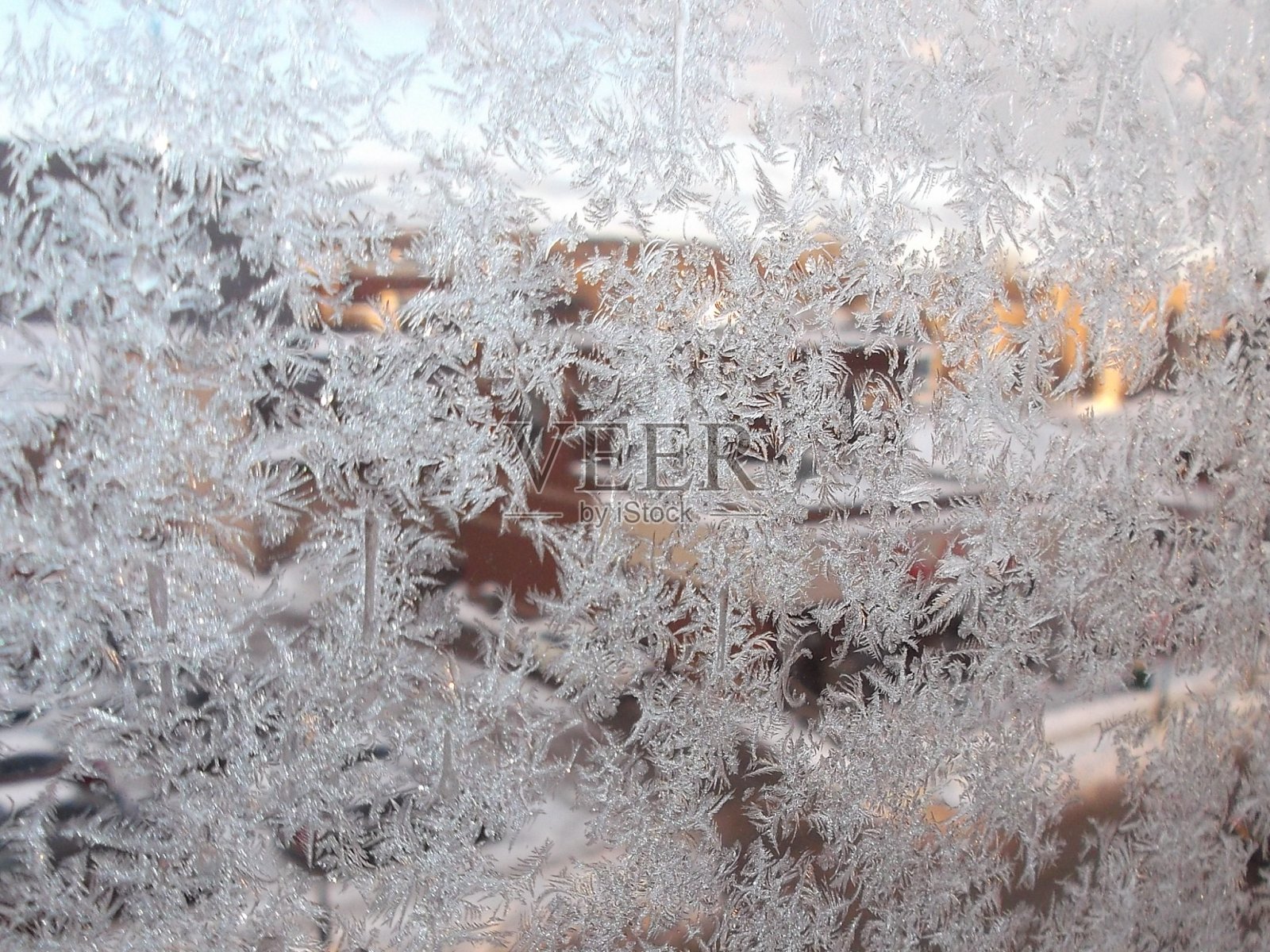 早晨的霜照片摄影图片